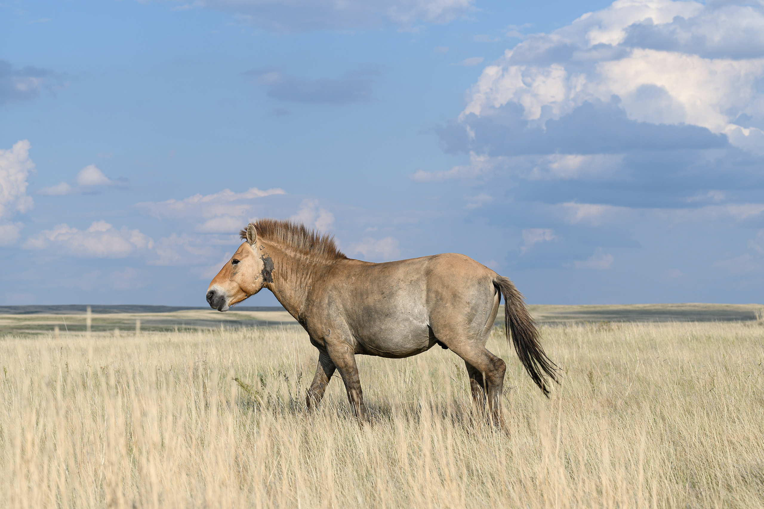 Оренбуржье. Портретный фотограф в Челябинске Катерина Руди