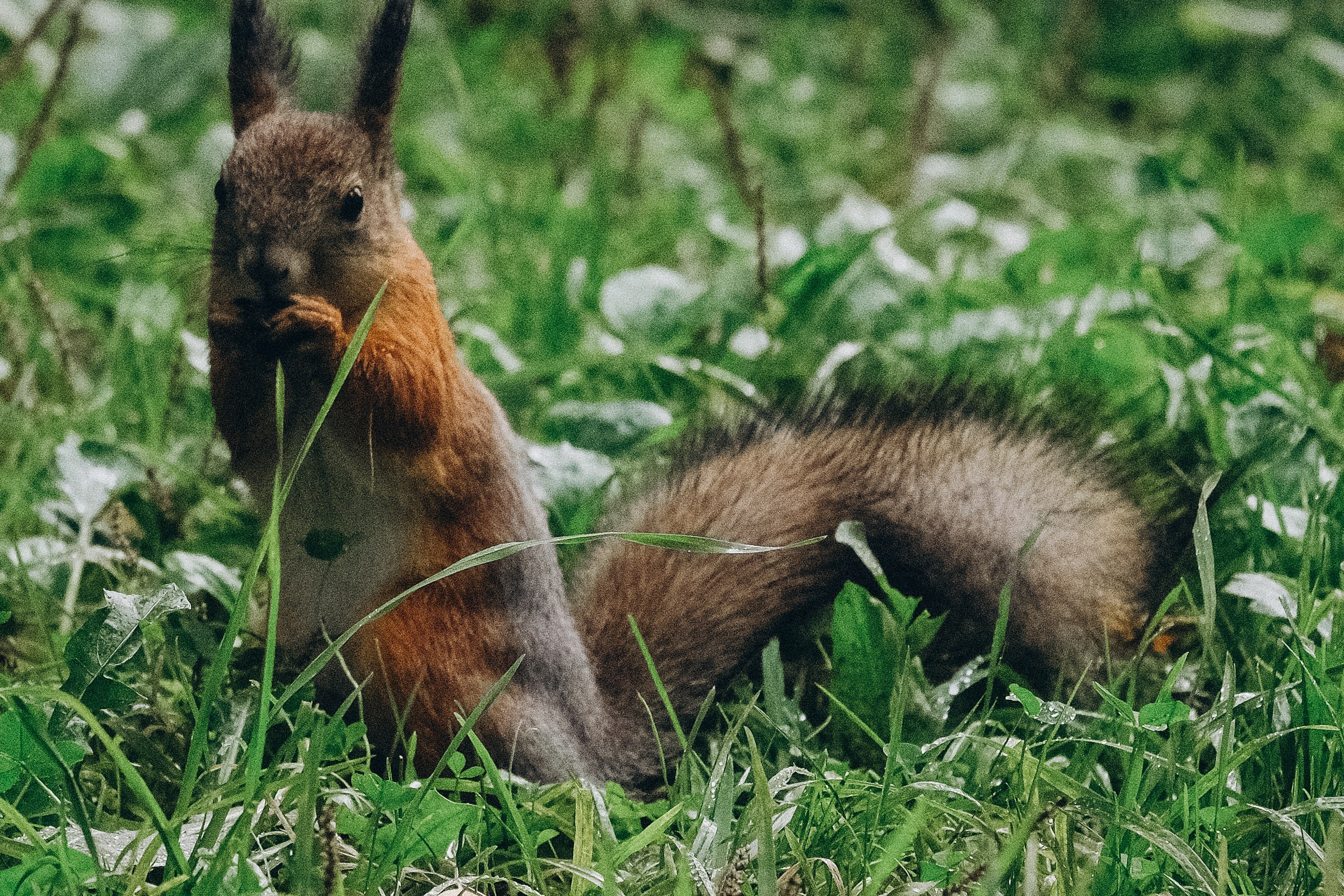День рождения малышки. Профессиональный фотограф, Санкт-Петербург — Виктория Богомолова