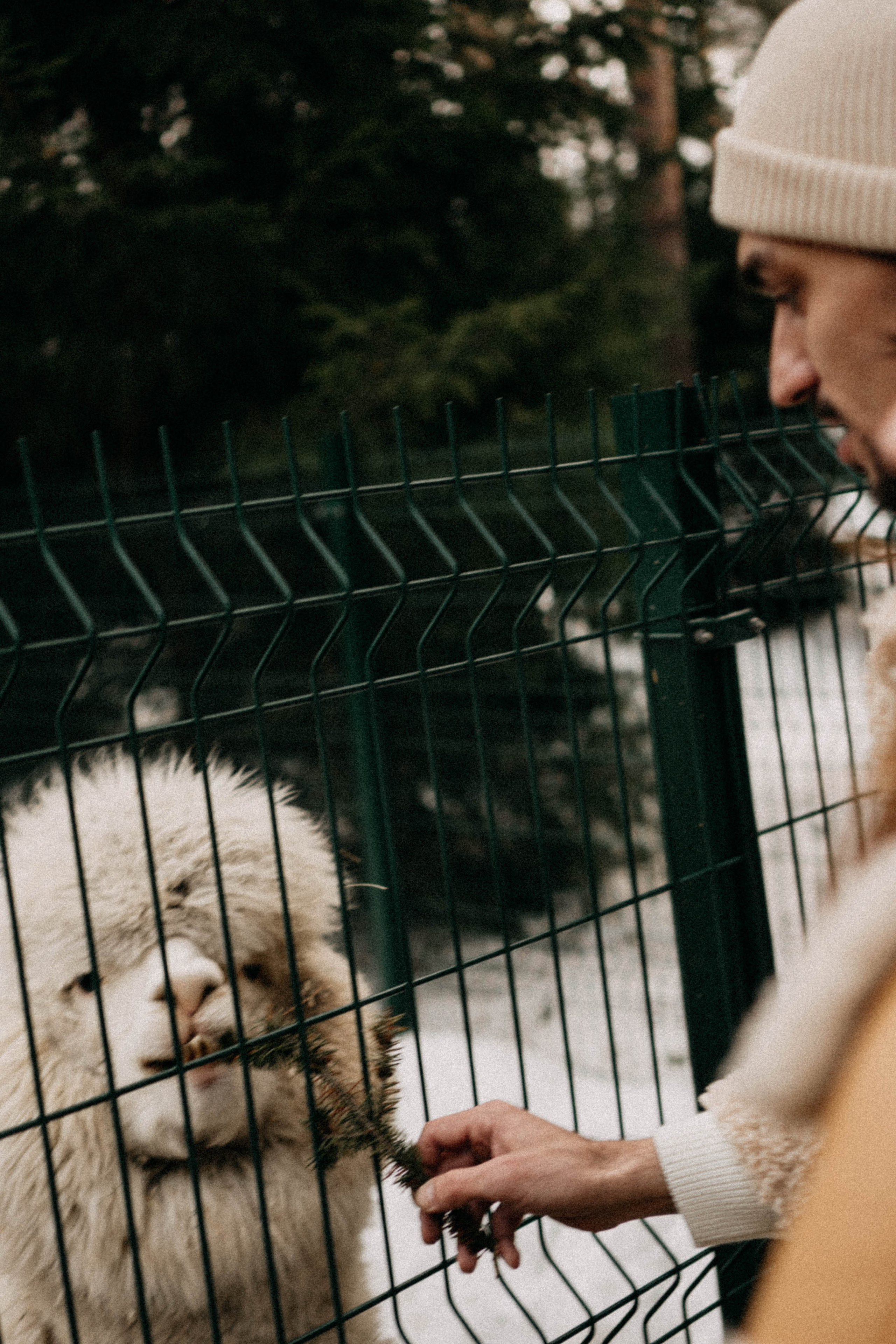 Каток. Профессиональный фотограф, Санкт-Петербург — Виктория Богомолова