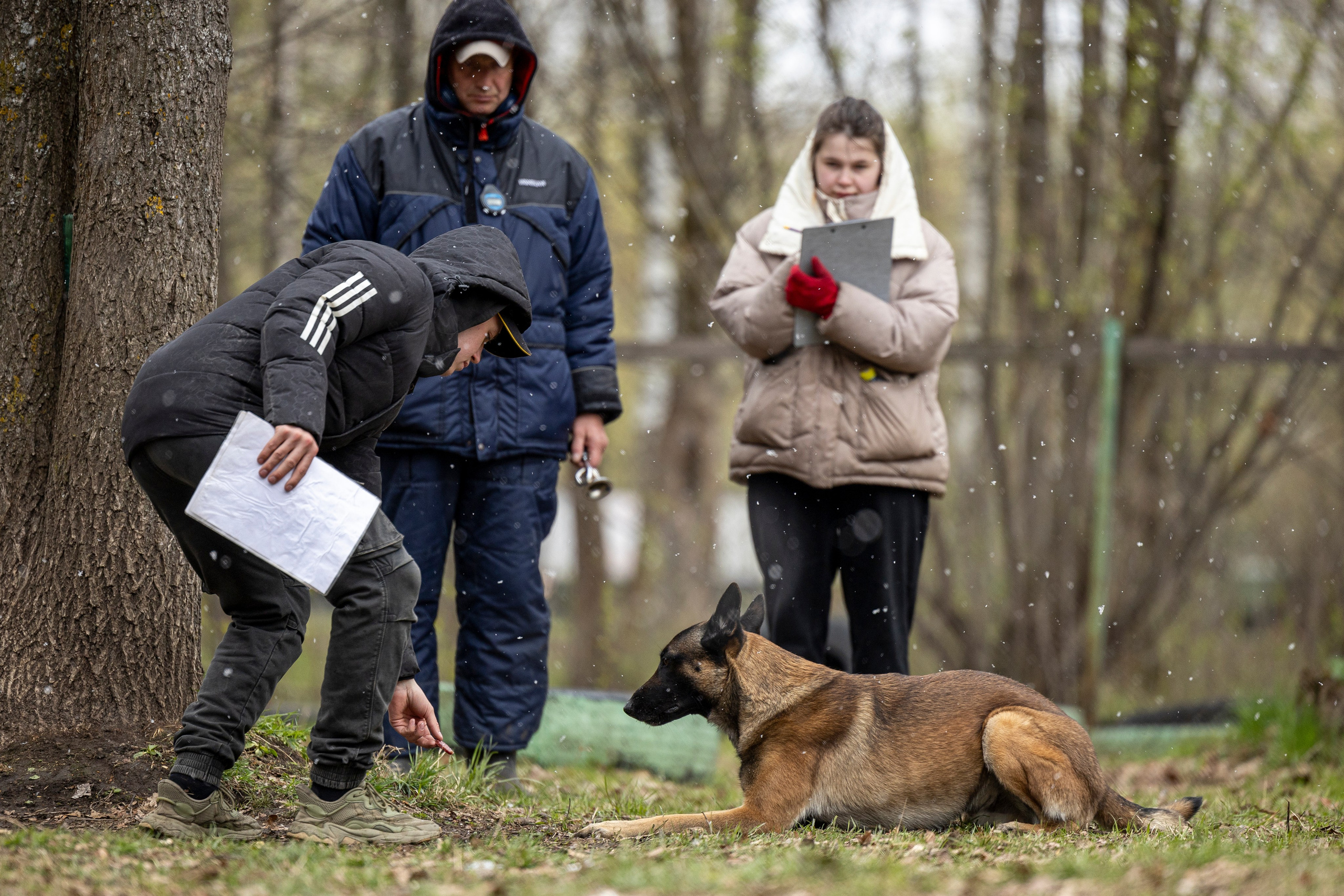 Квалификационные состязания по мондьорингу г. Вологда 11.05.24. Фотограф-анималист Анна Маринич