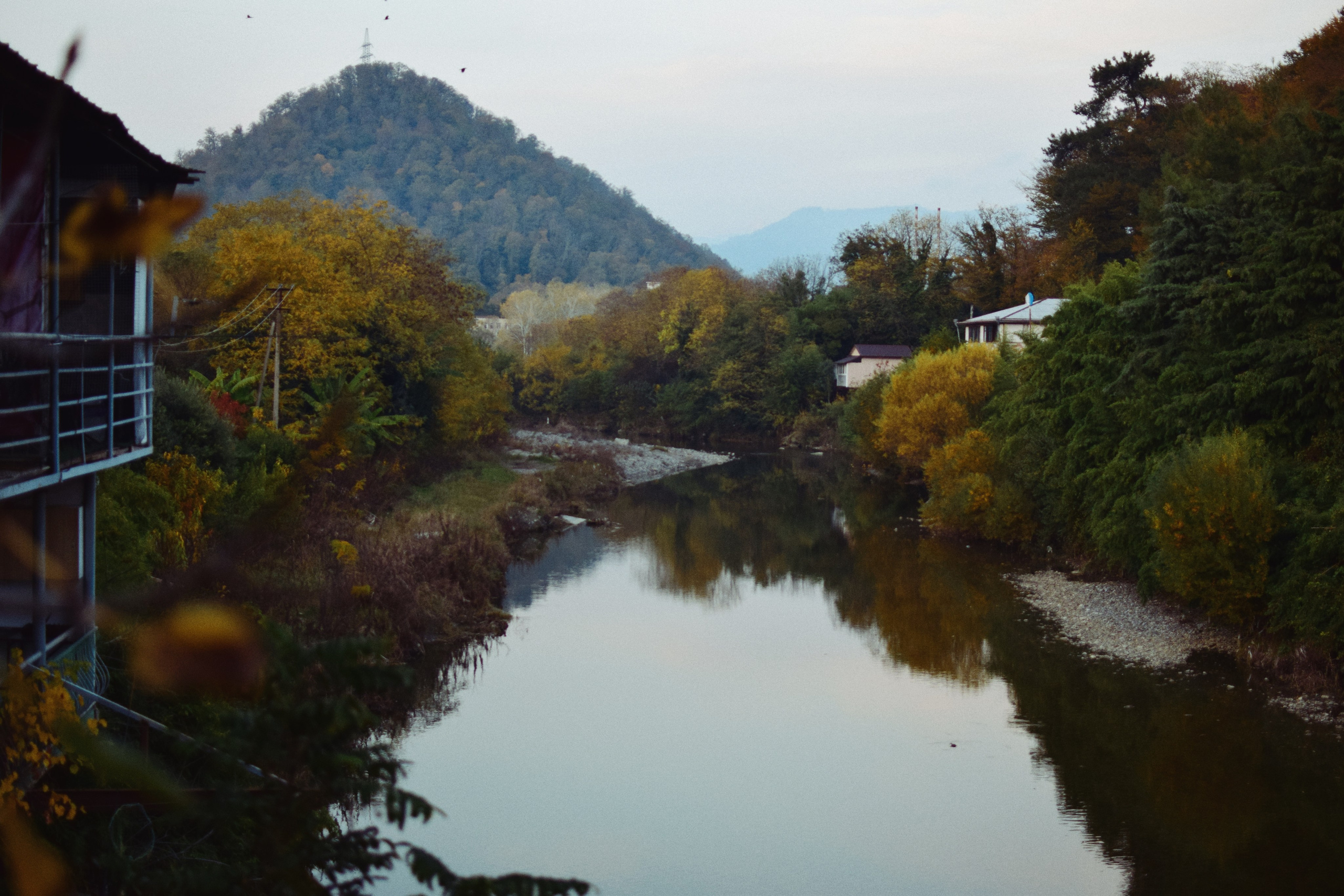 Мир вокруг. Фотограф • Елена Миронова