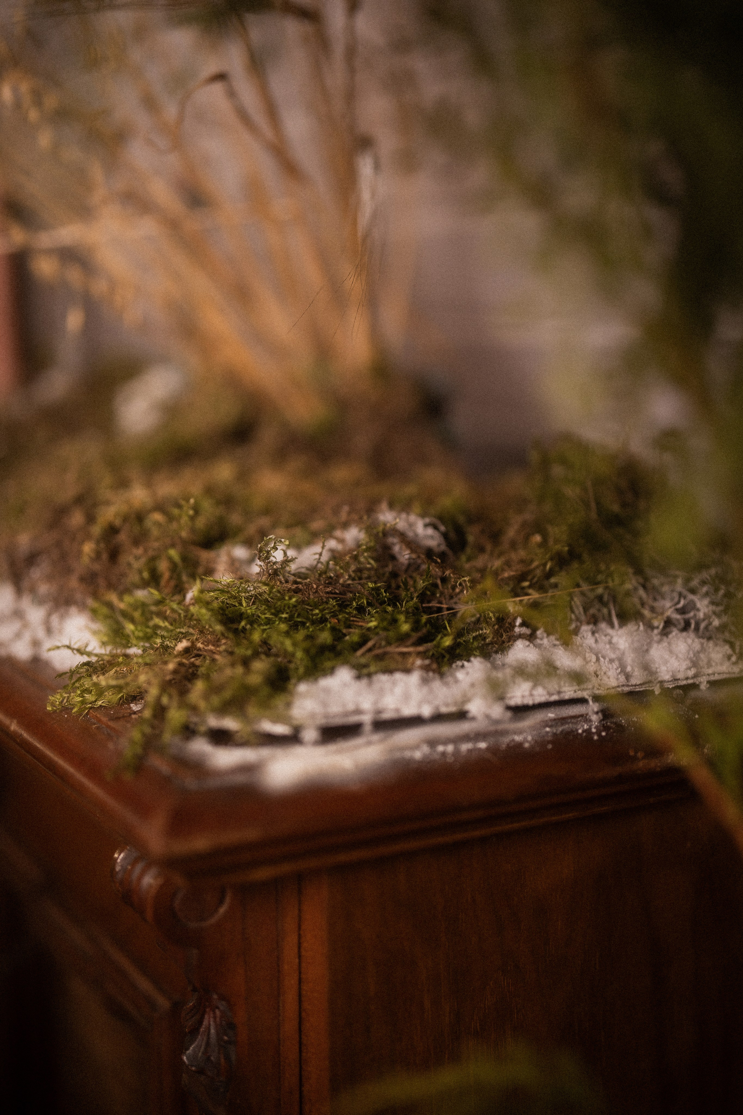 Семейная фотосессия в Доме Элли для Сереженьки и мамы Ланы. Семейный и детский фотограф в Сергиев Посаде, Хотьково Якимчук Любовь