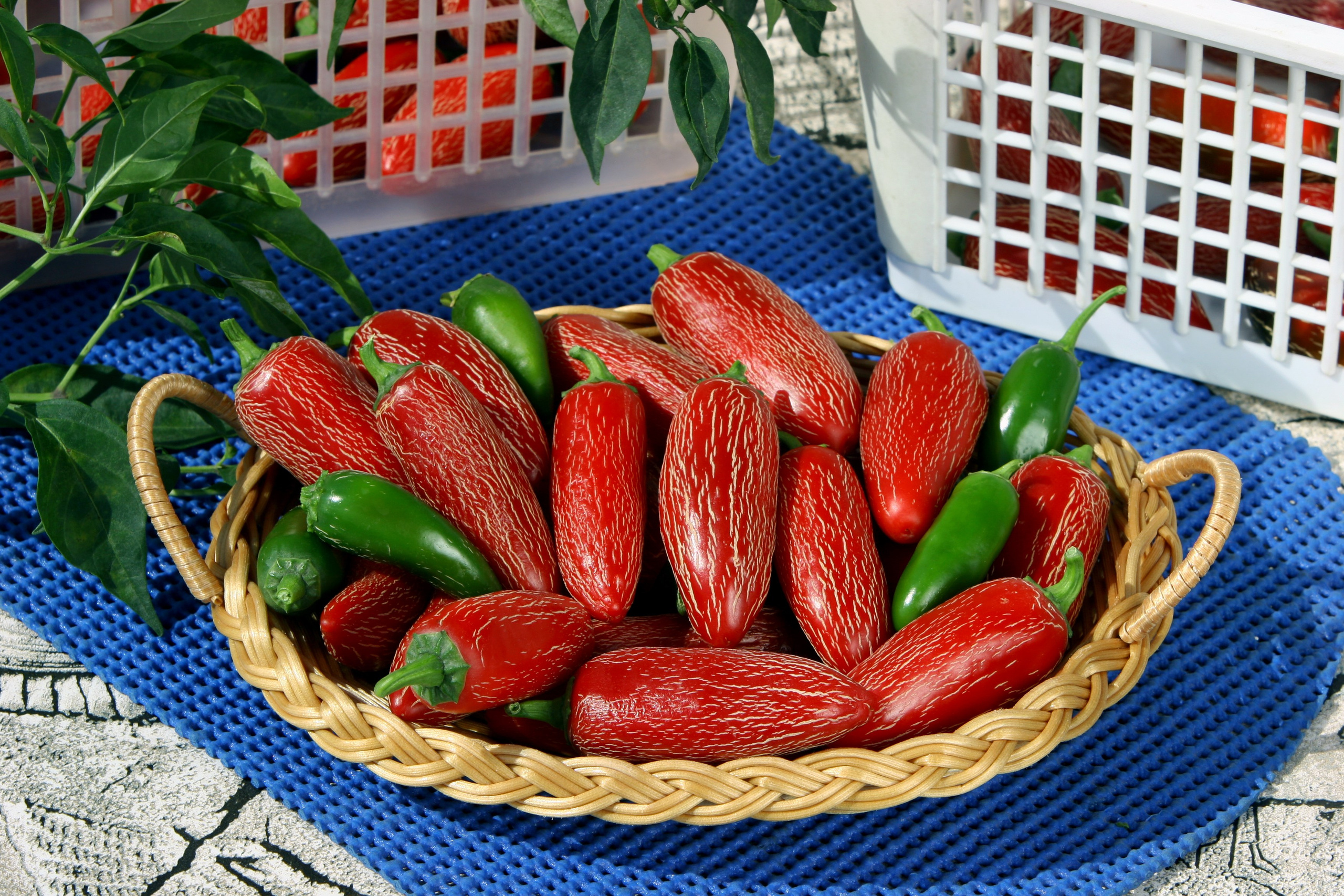 Product photography. The Website of the Photographer Vitaly Deni