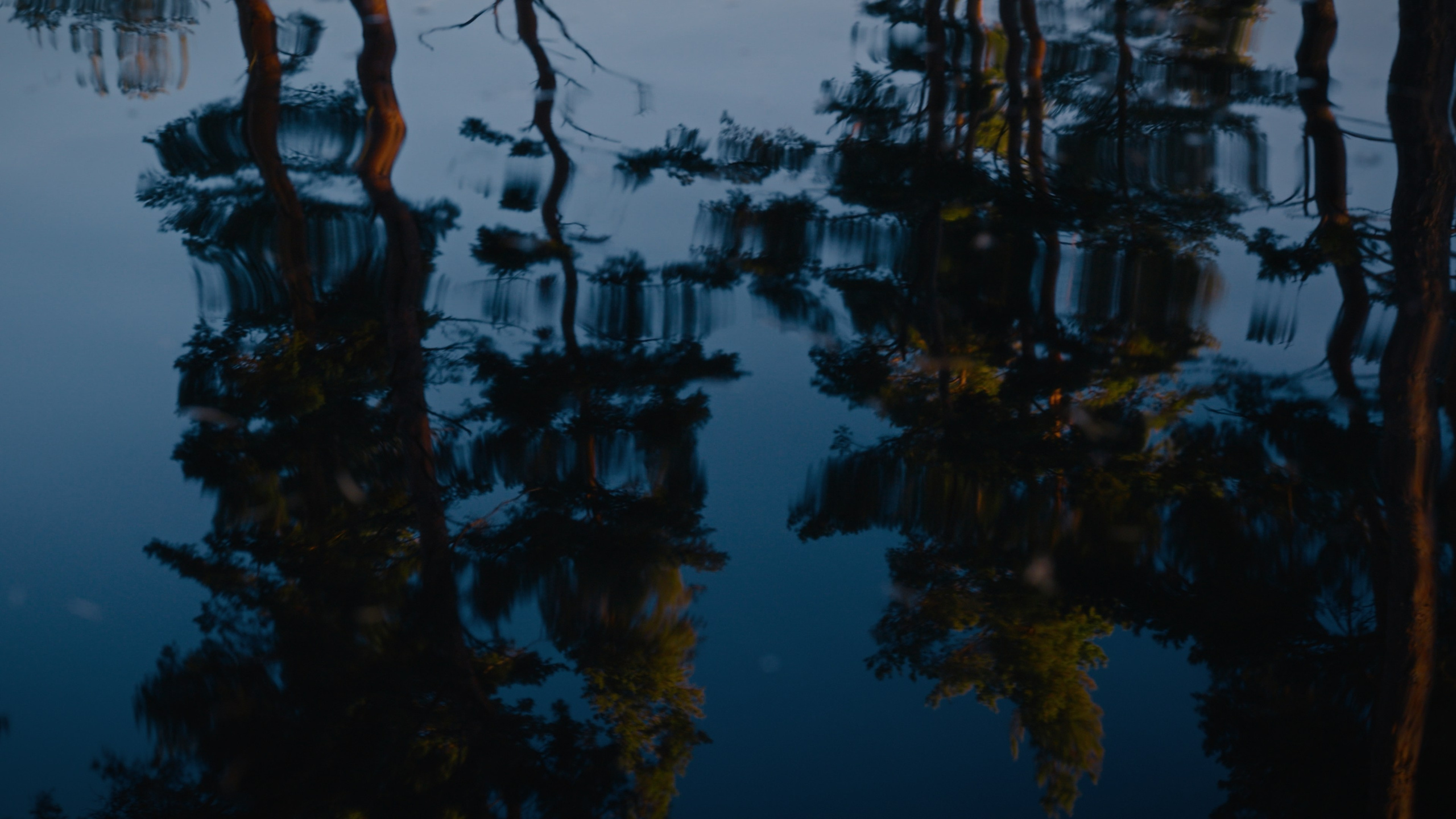 Тихолесье — Ваш дом и уют (promo). Цветокоррекция видео онлайн Иван Сержанов