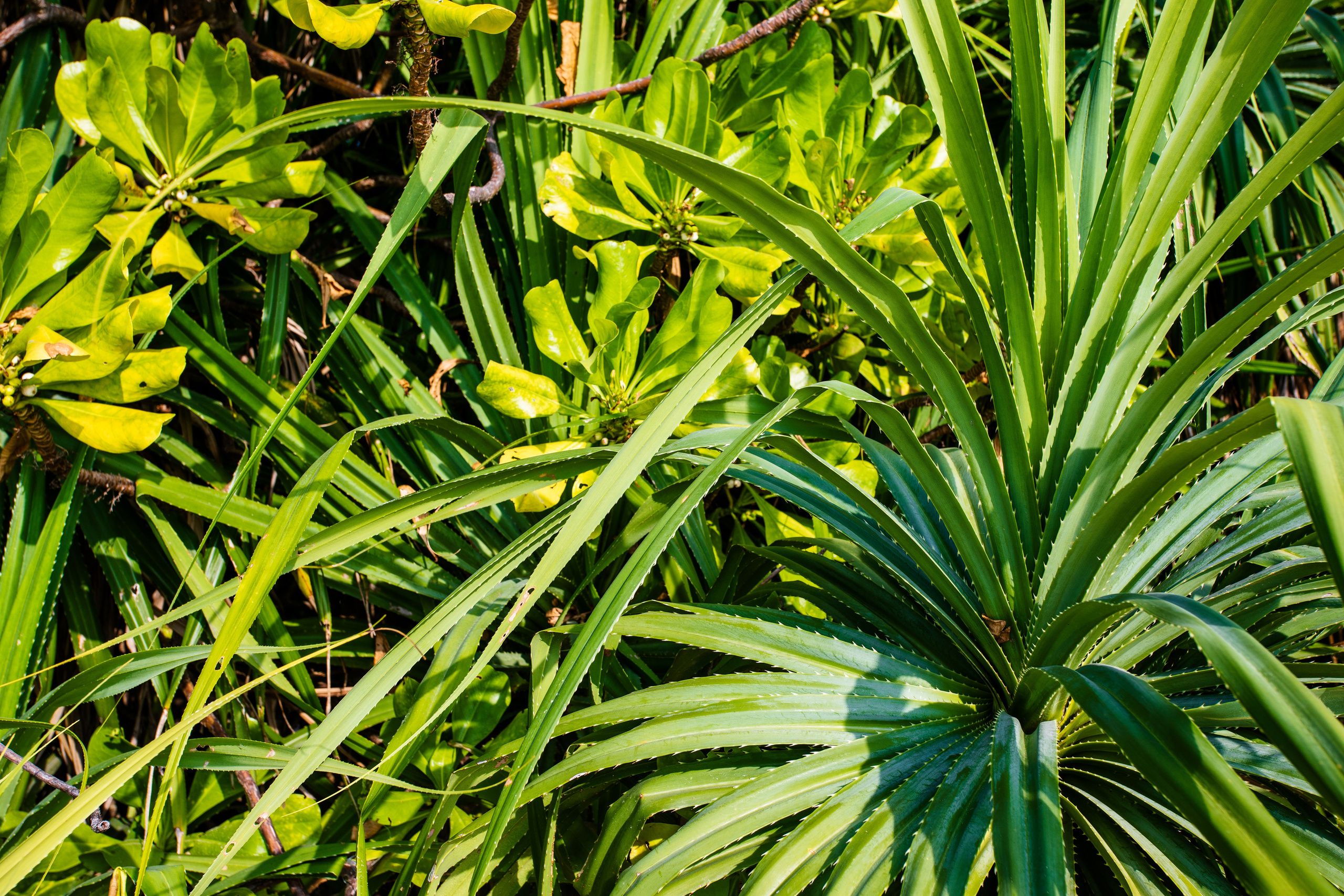 Мальдивы февраль/2020. Фотограф-видеограф для женщин в Черногории Резник Марина