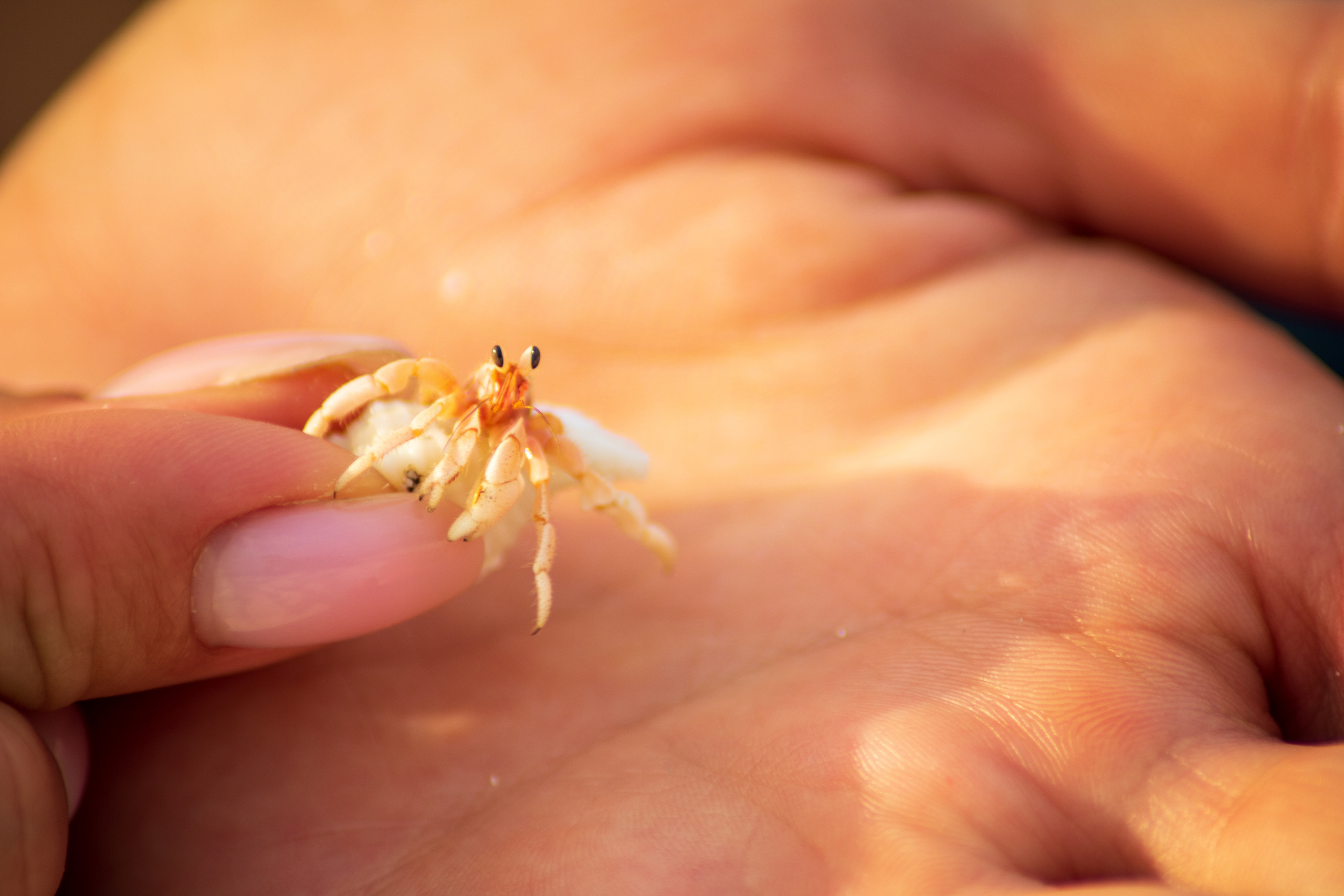 Мальдивы февраль/2020. Фотограф-видеограф для женщин в Черногории Резник Марина