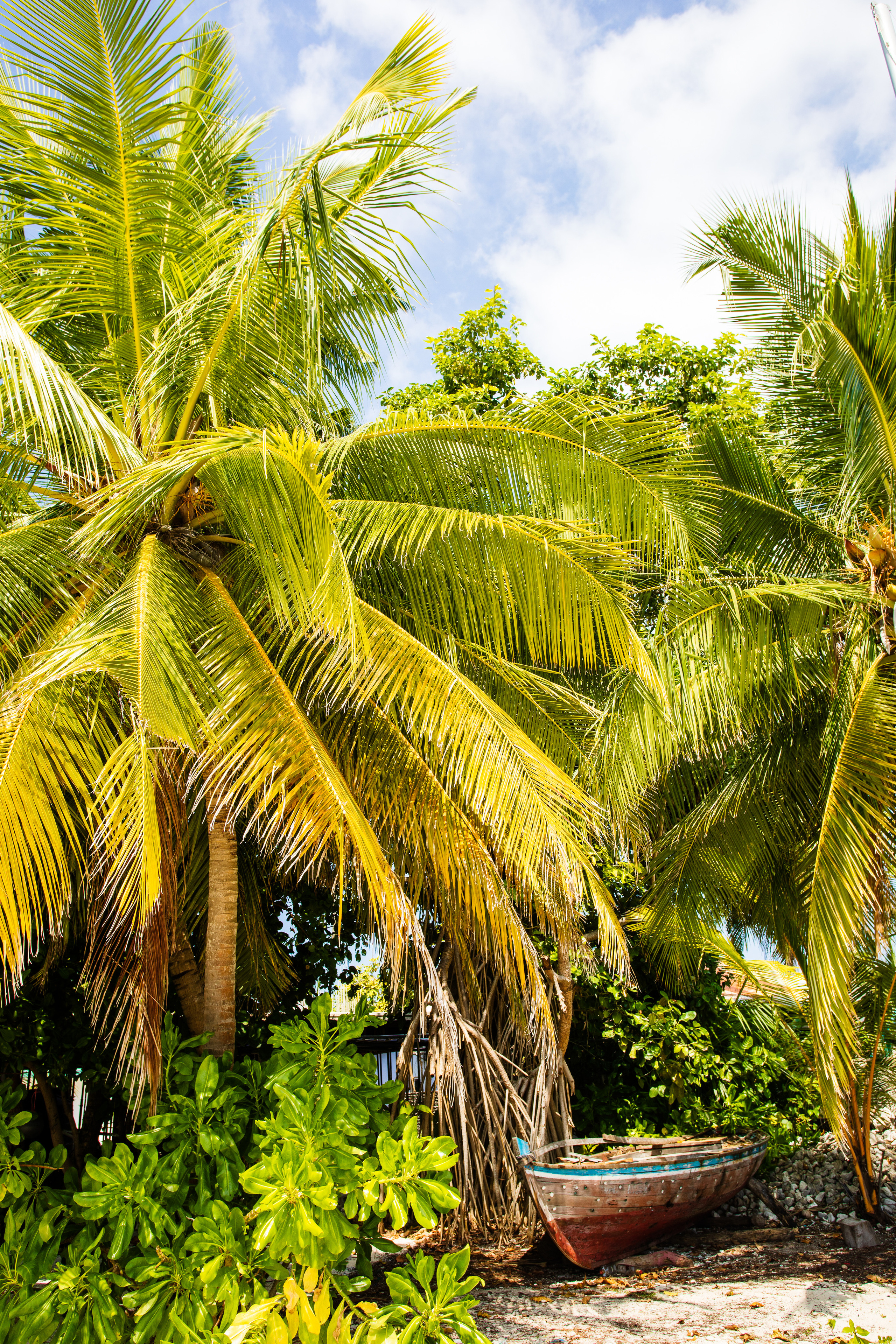 Мальдивы февраль/2020. Фотограф-видеограф для женщин в Черногории Резник Марина