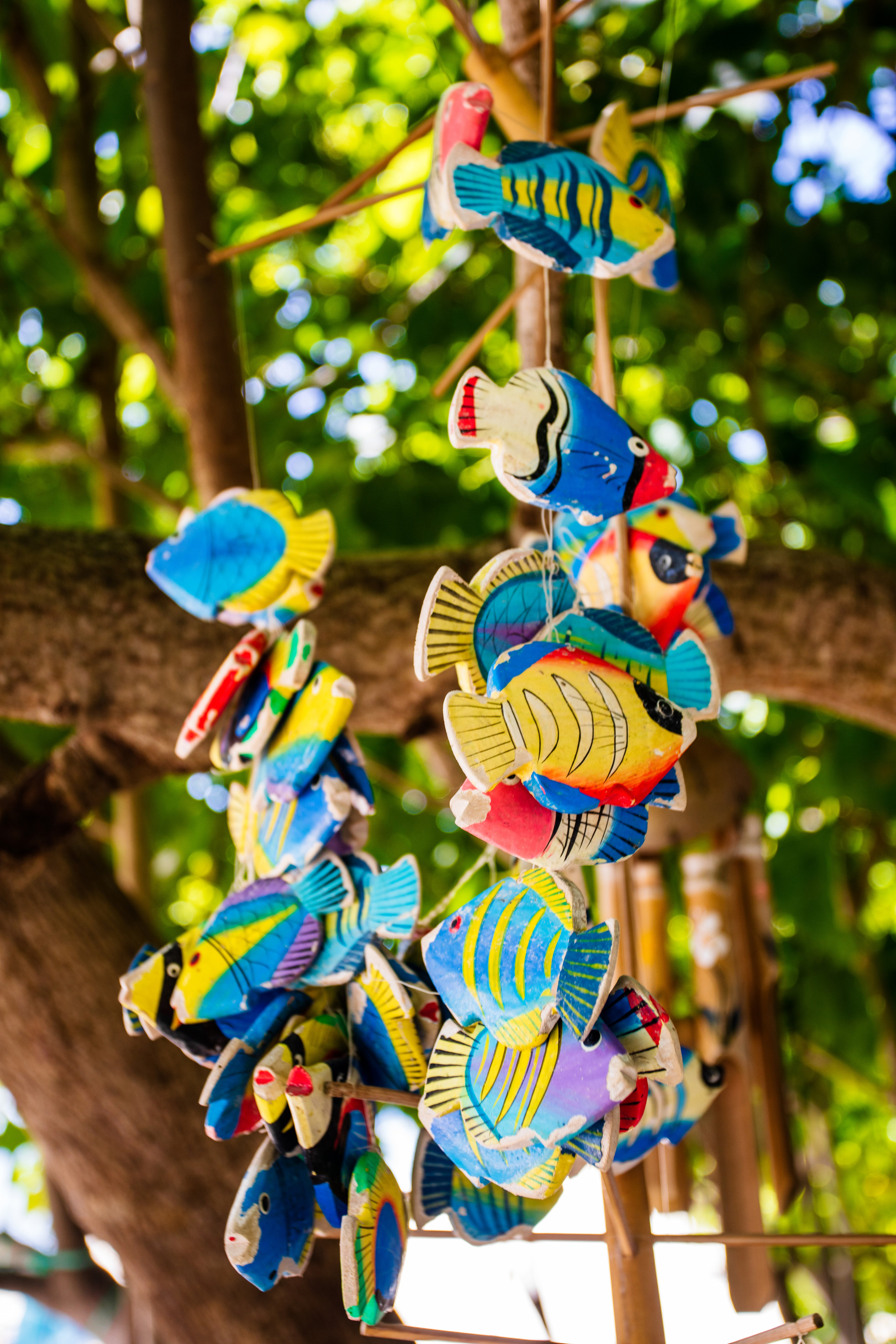 Мальдивы февраль/2020. Фотограф-видеограф для женщин в Черногории Резник Марина