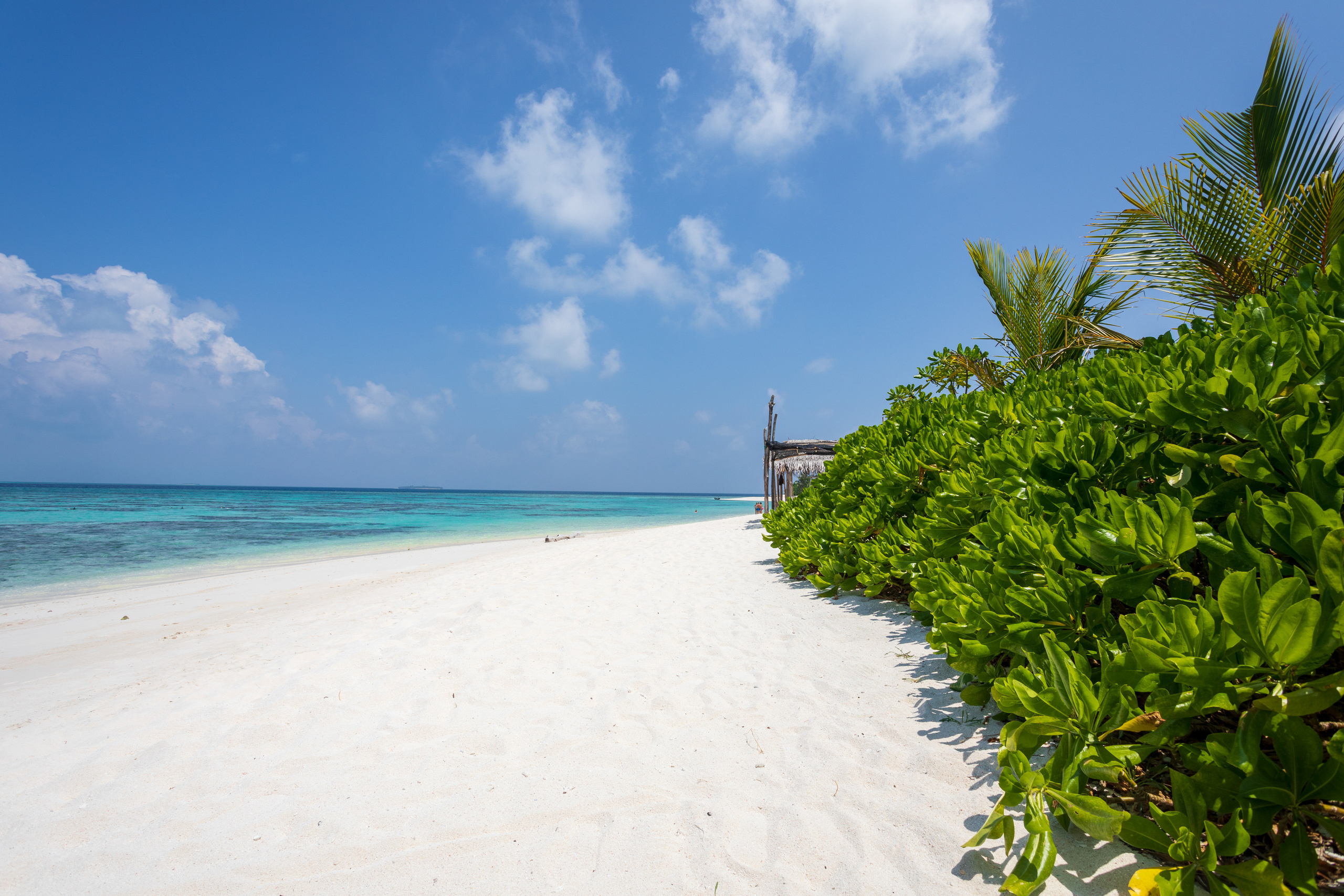 Мальдивы февраль/2020. Фотограф-видеограф для женщин в Черногории Резник Марина