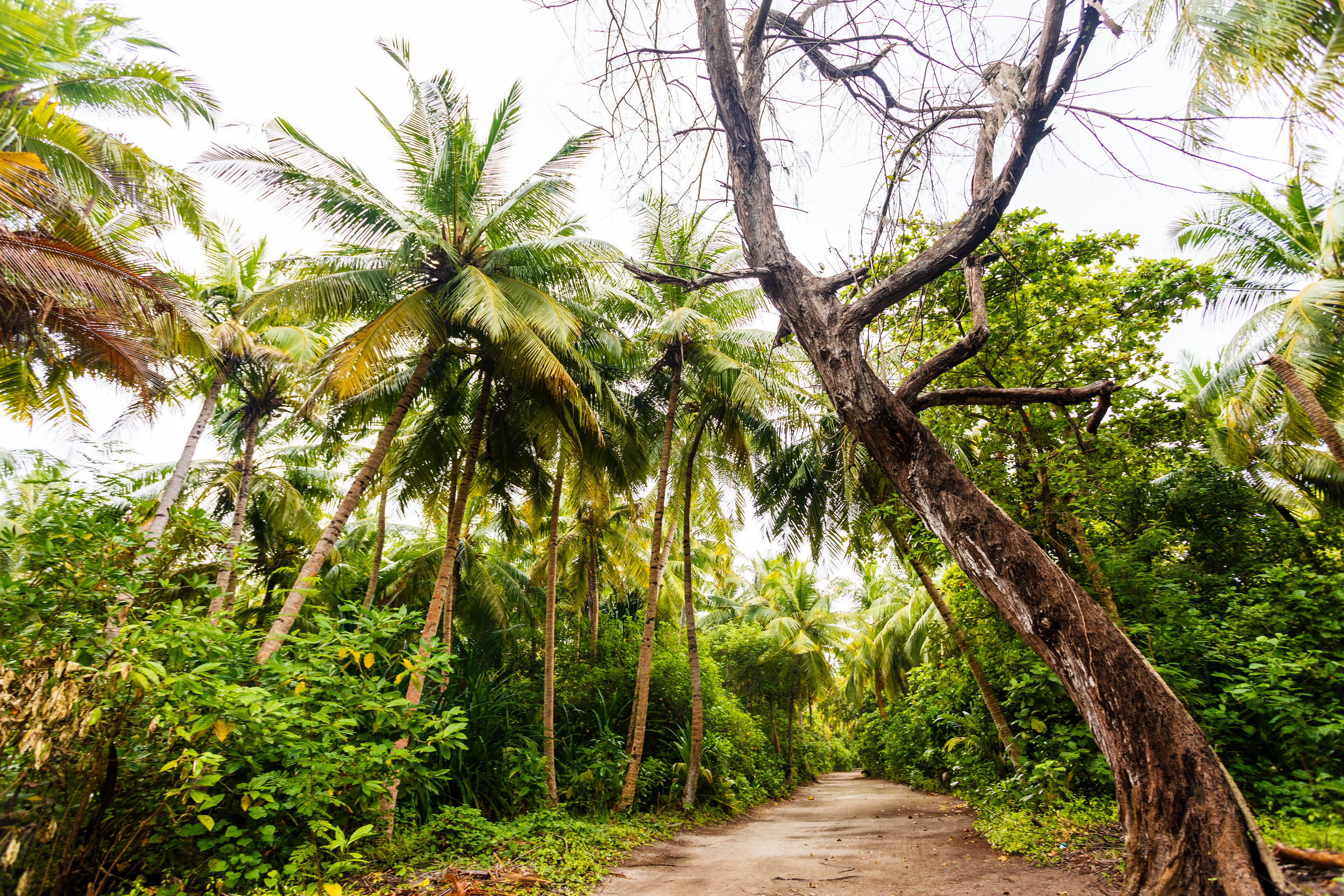 Мальдивы февраль/2020. Фотограф-видеограф для женщин в Черногории Резник Марина