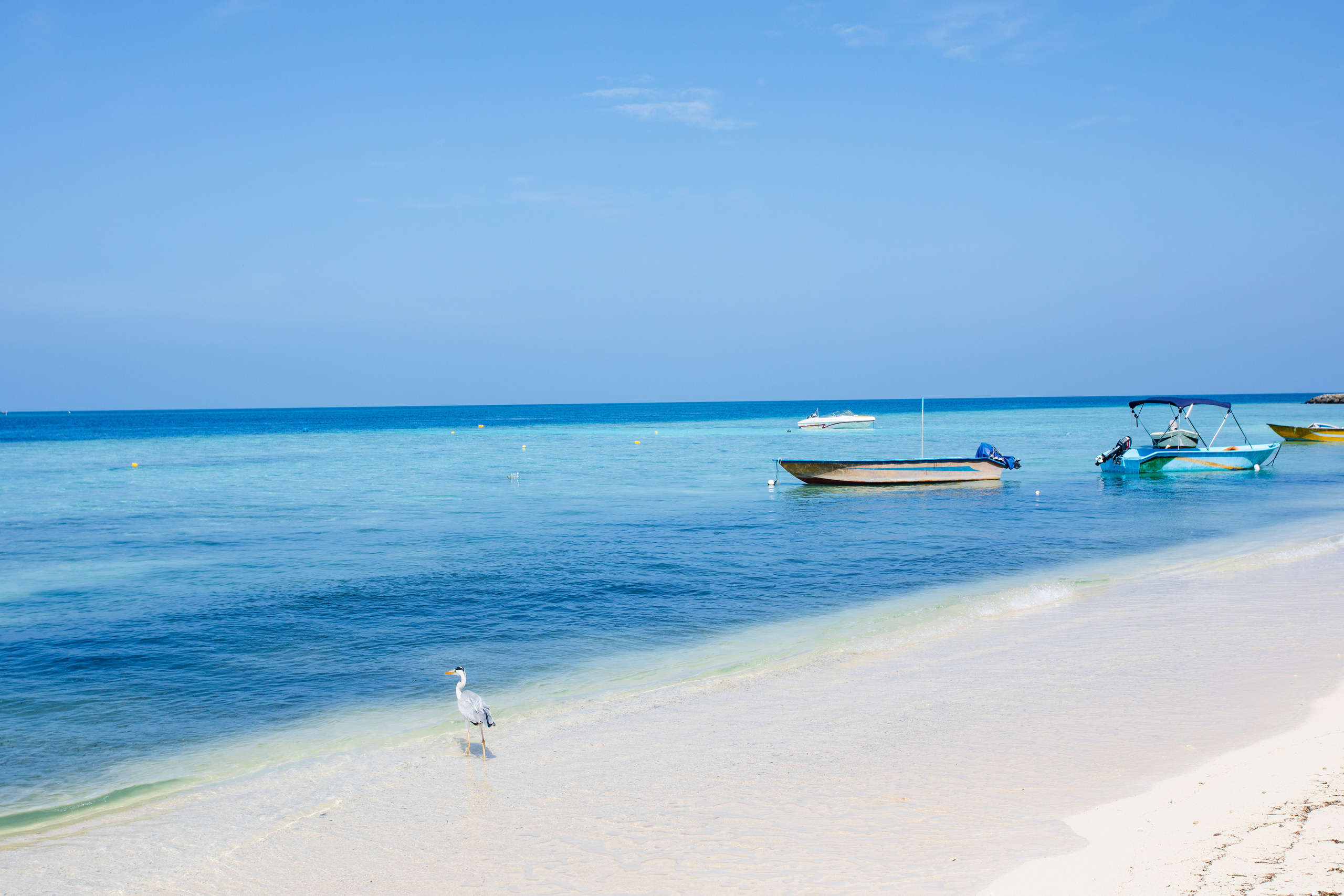 Мальдивы февраль/2020. Фотограф-видеограф для женщин в Черногории Резник Марина