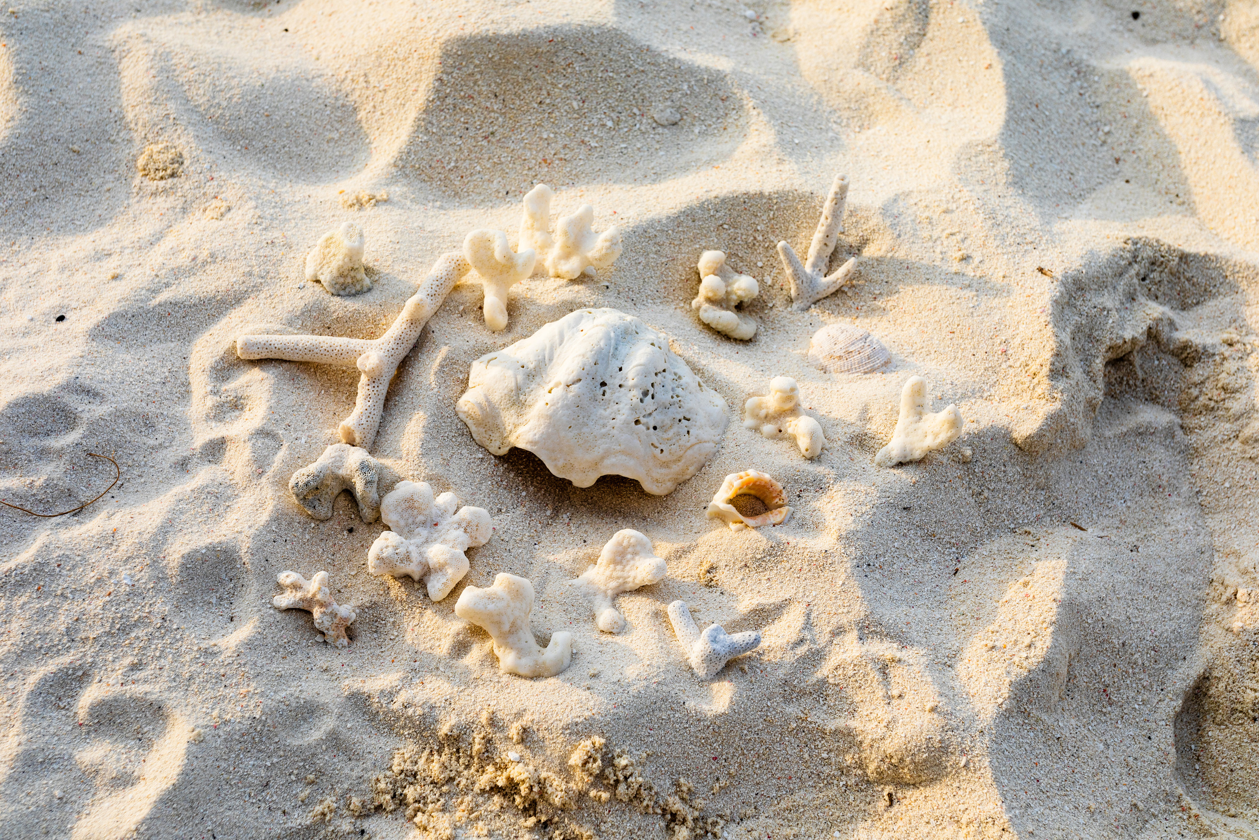 Мальдивы февраль/2020. Фотограф-видеограф для женщин в Черногории Резник Марина