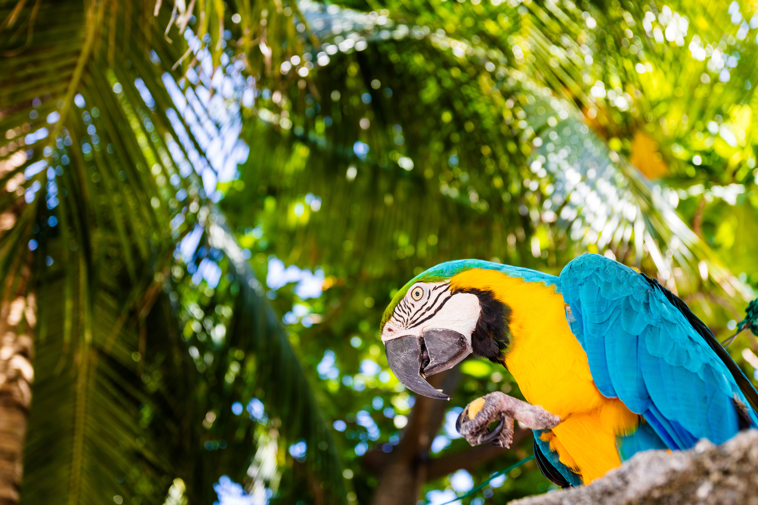 Мальдивы февраль/2020. Фотограф-видеограф для женщин в Черногории Резник Марина