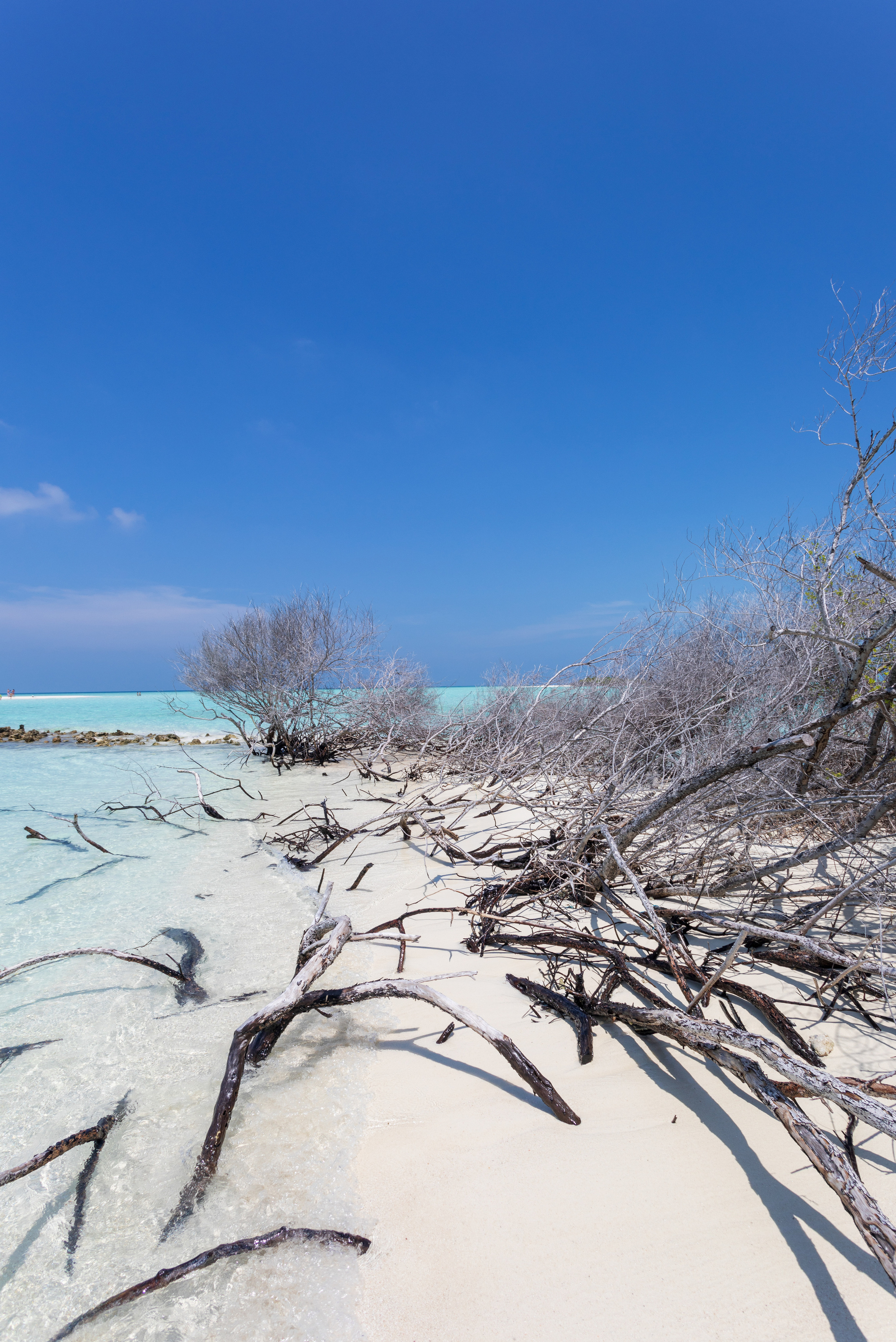 Мальдивы февраль/2020. Фотограф-видеограф для женщин в Черногории Резник Марина