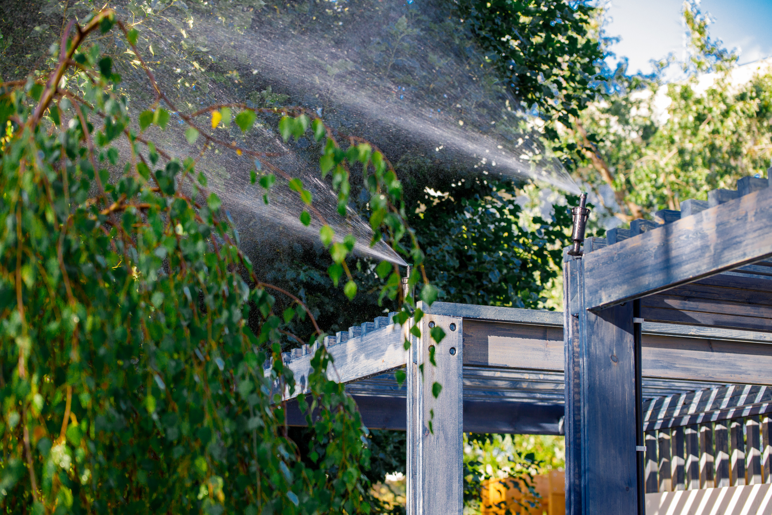 Сад дождя | Фестиваль «Люди и сады». Репортажный фотограф Семён Борисов | Москва