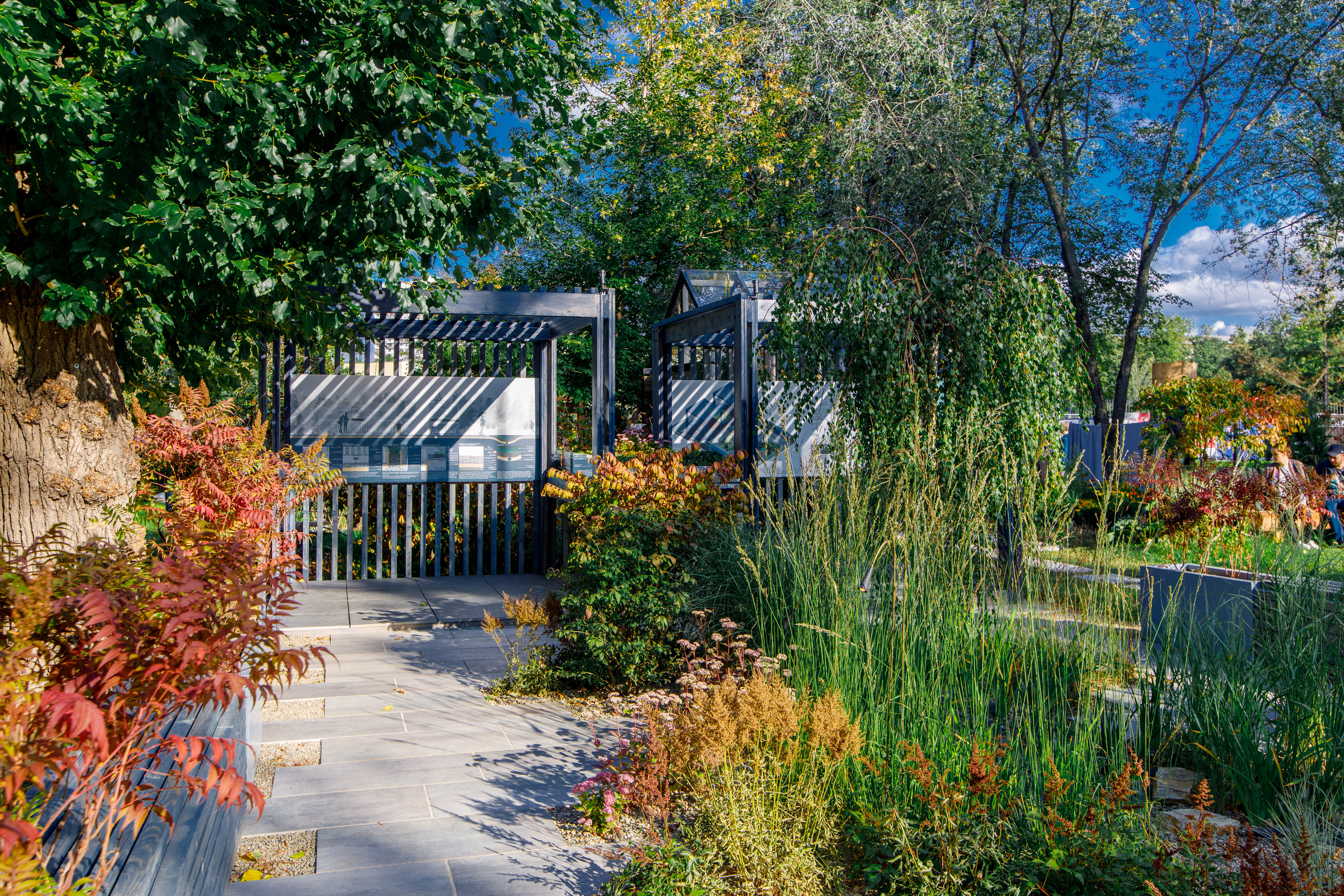 Сад дождя | Фестиваль «Люди и сады». Репортажный фотограф Семён Борисов | Москва