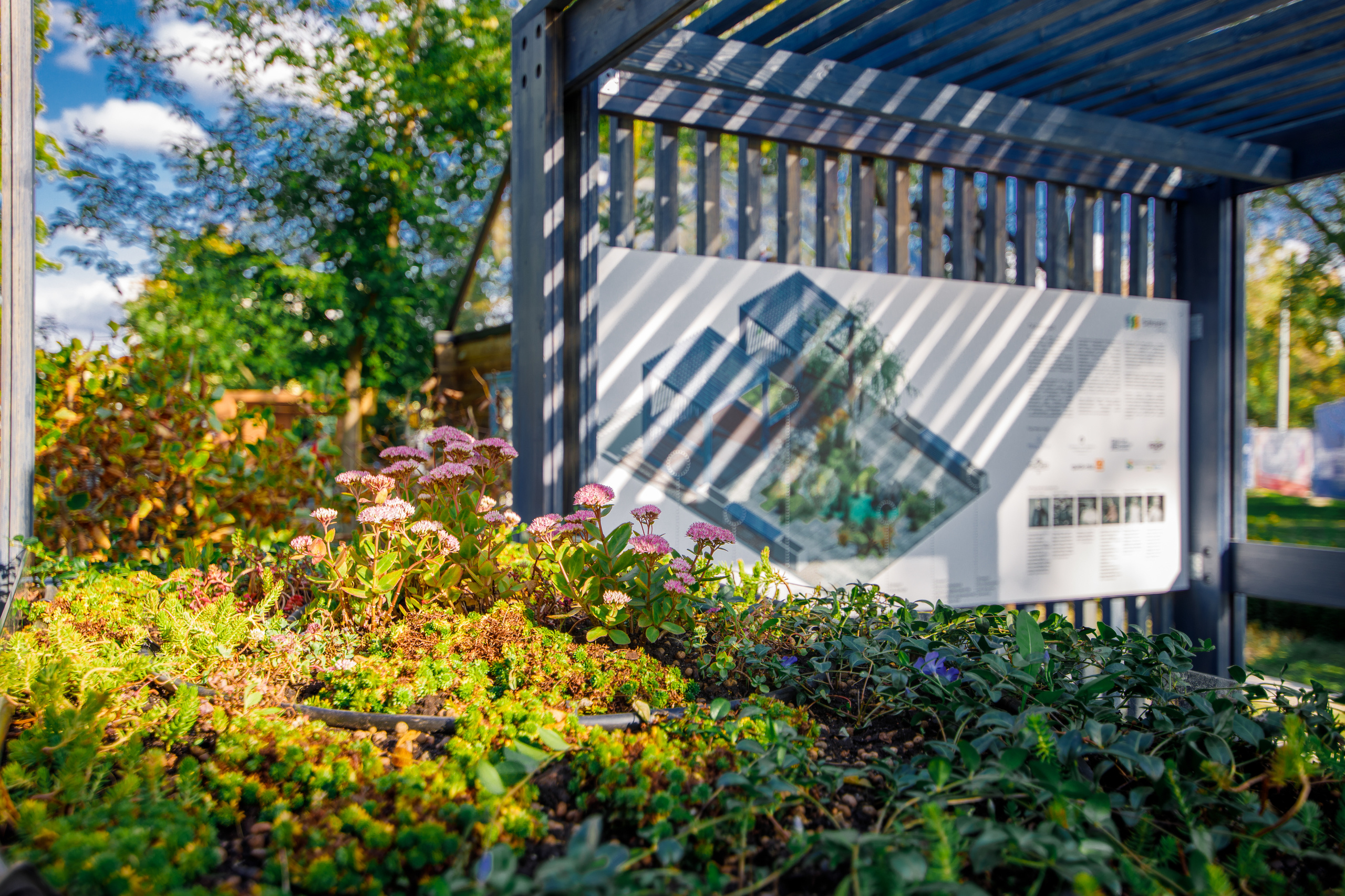 Сад дождя | Фестиваль «Люди и сады». Репортажный фотограф Семён Борисов | Москва