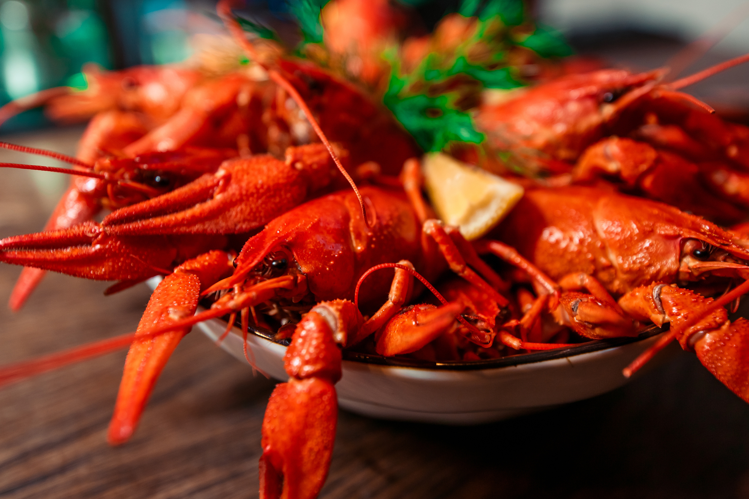 Репортаж в баре | Ростов-Папа бар. Репортажный фотограф Семён Борисов | Москва