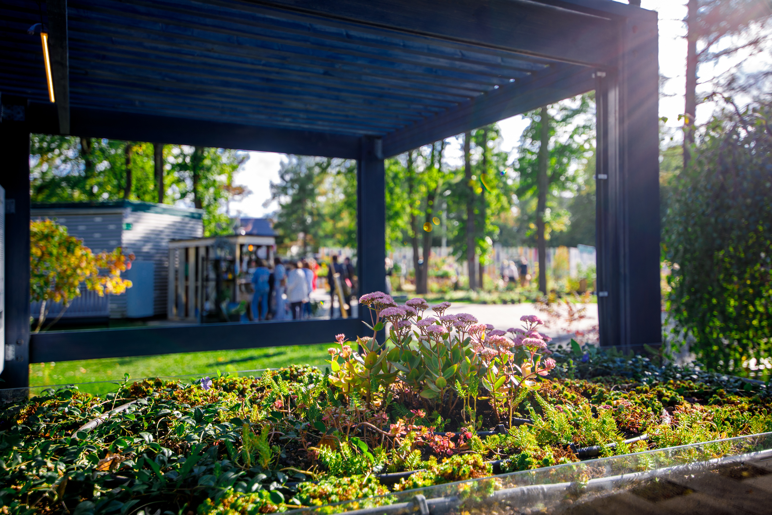 Сад дождя | Фестиваль «Люди и сады». Репортажный фотограф Семён Борисов | Москва