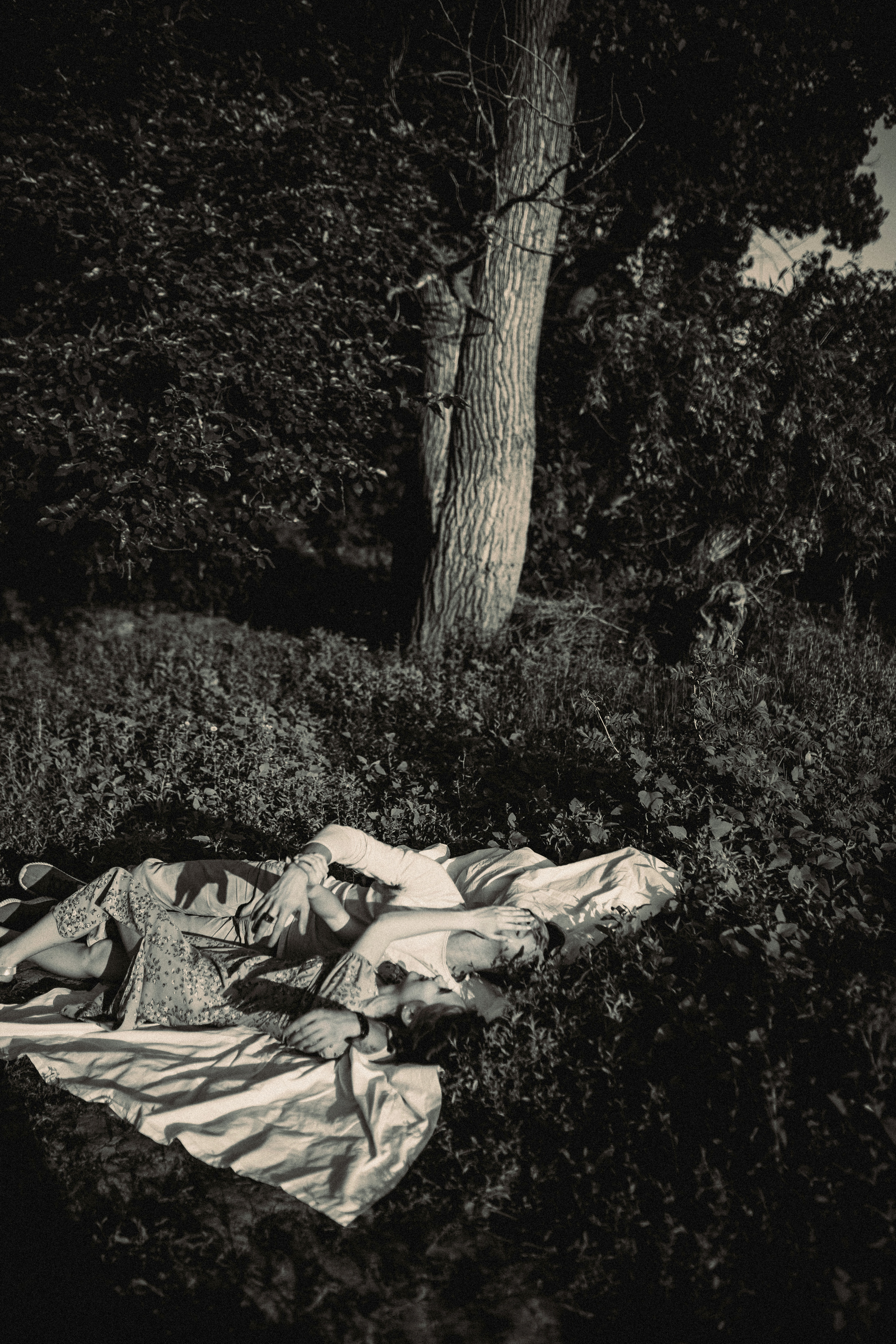 Александр & Анастасия