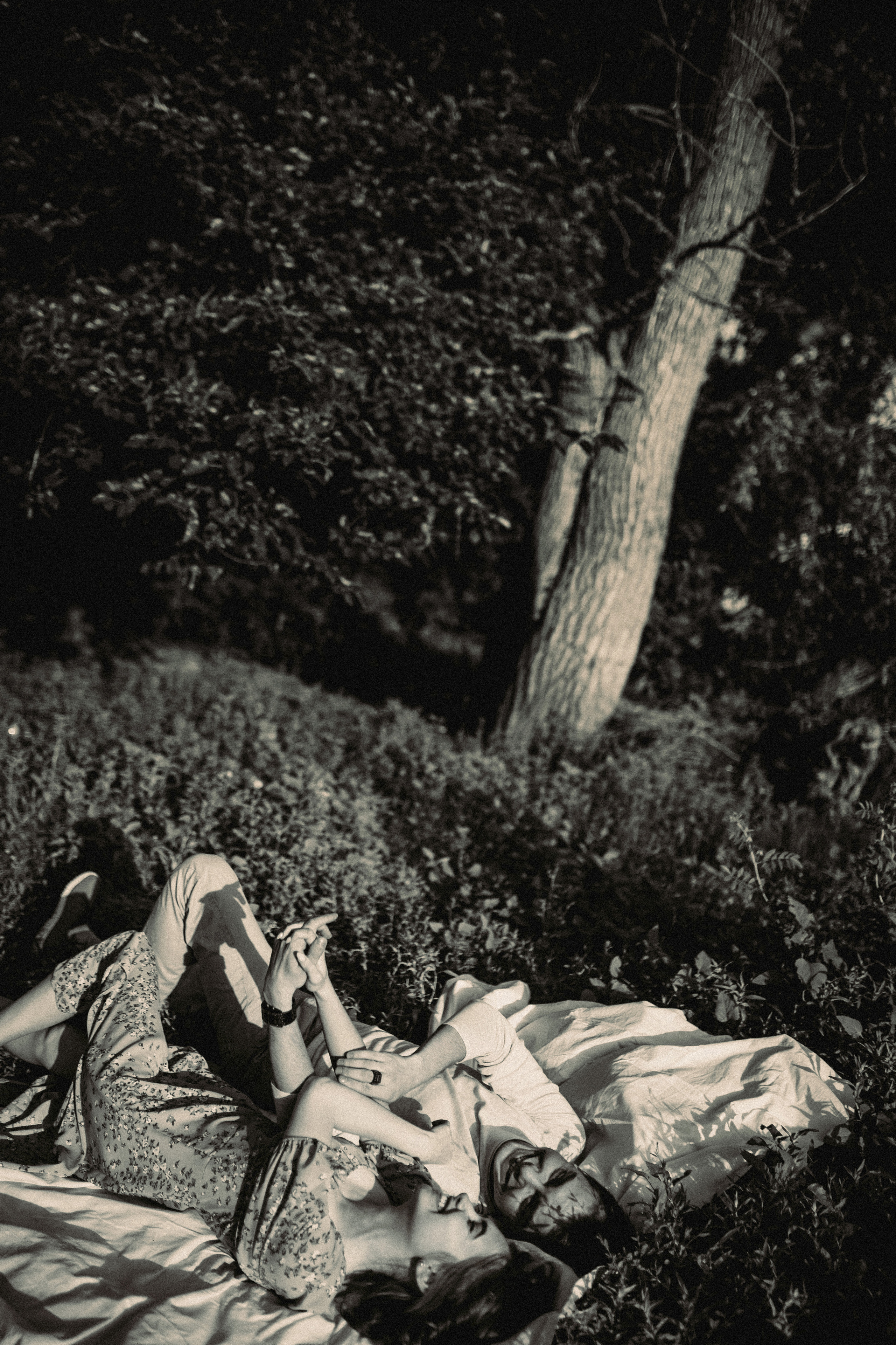 Александр & Анастасия