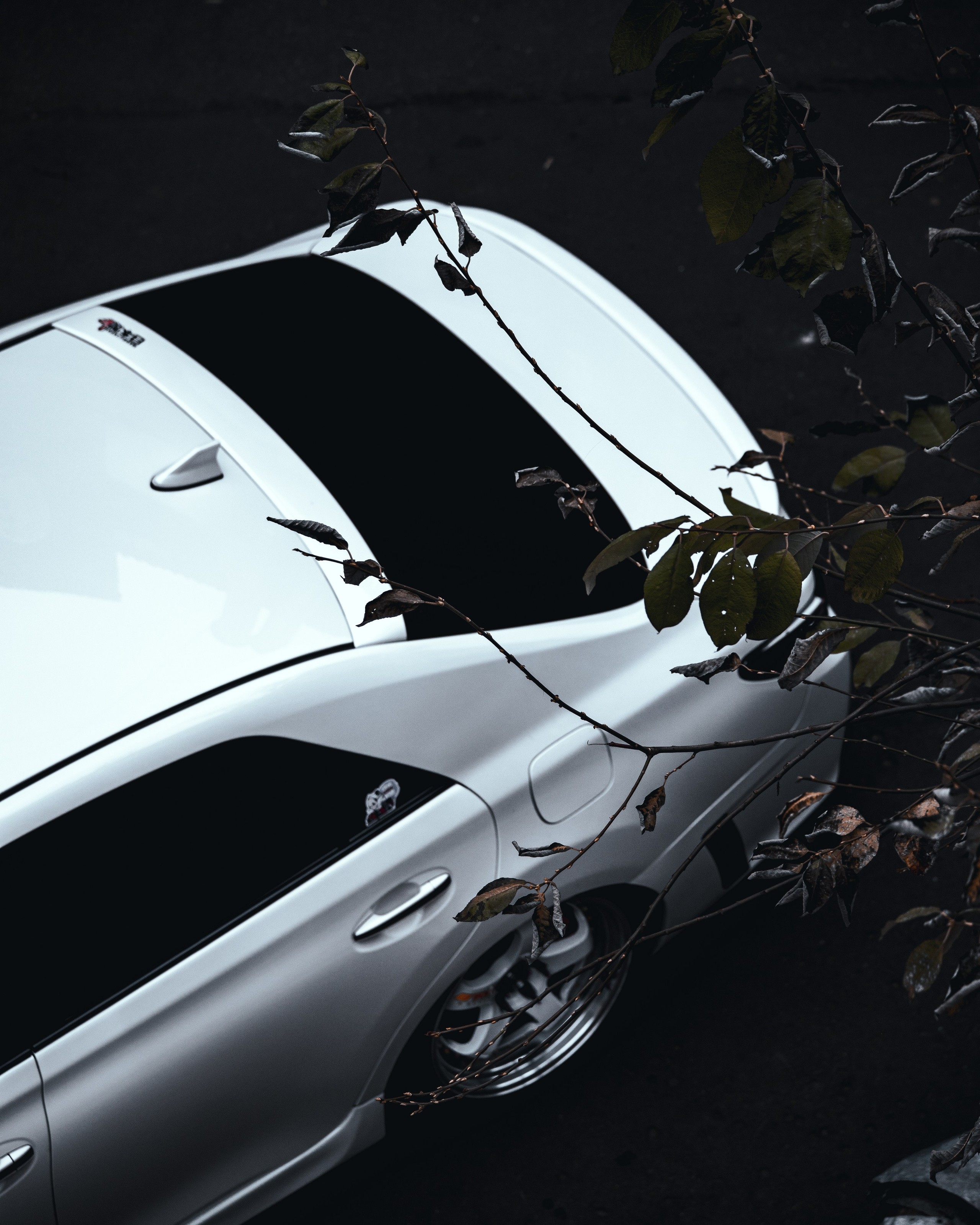 MARK X. Спортивный фотограф — Никита