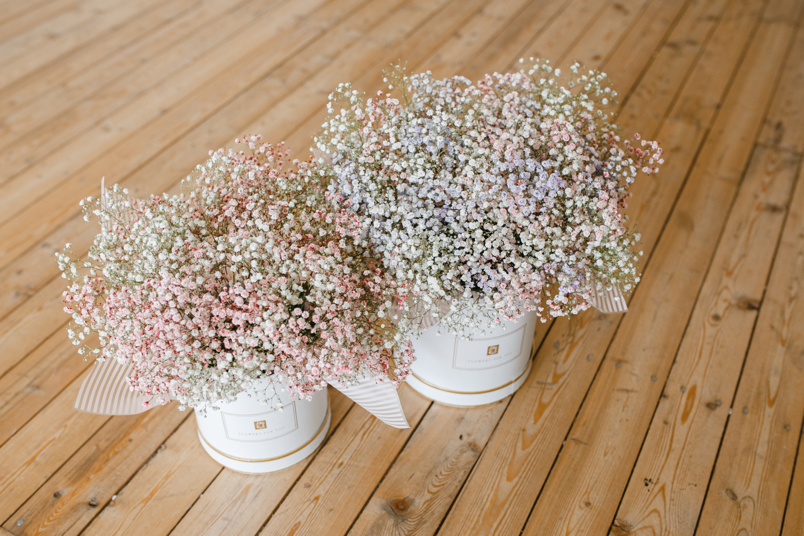 Флорист. Фотограф в Новосибирске Ася Зверева