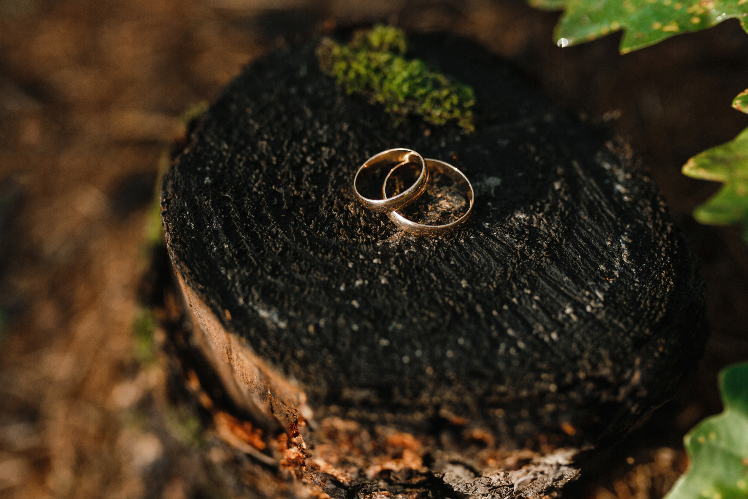 Ирина&Юрий. Фотограф в Новосибирске Ася Зверева