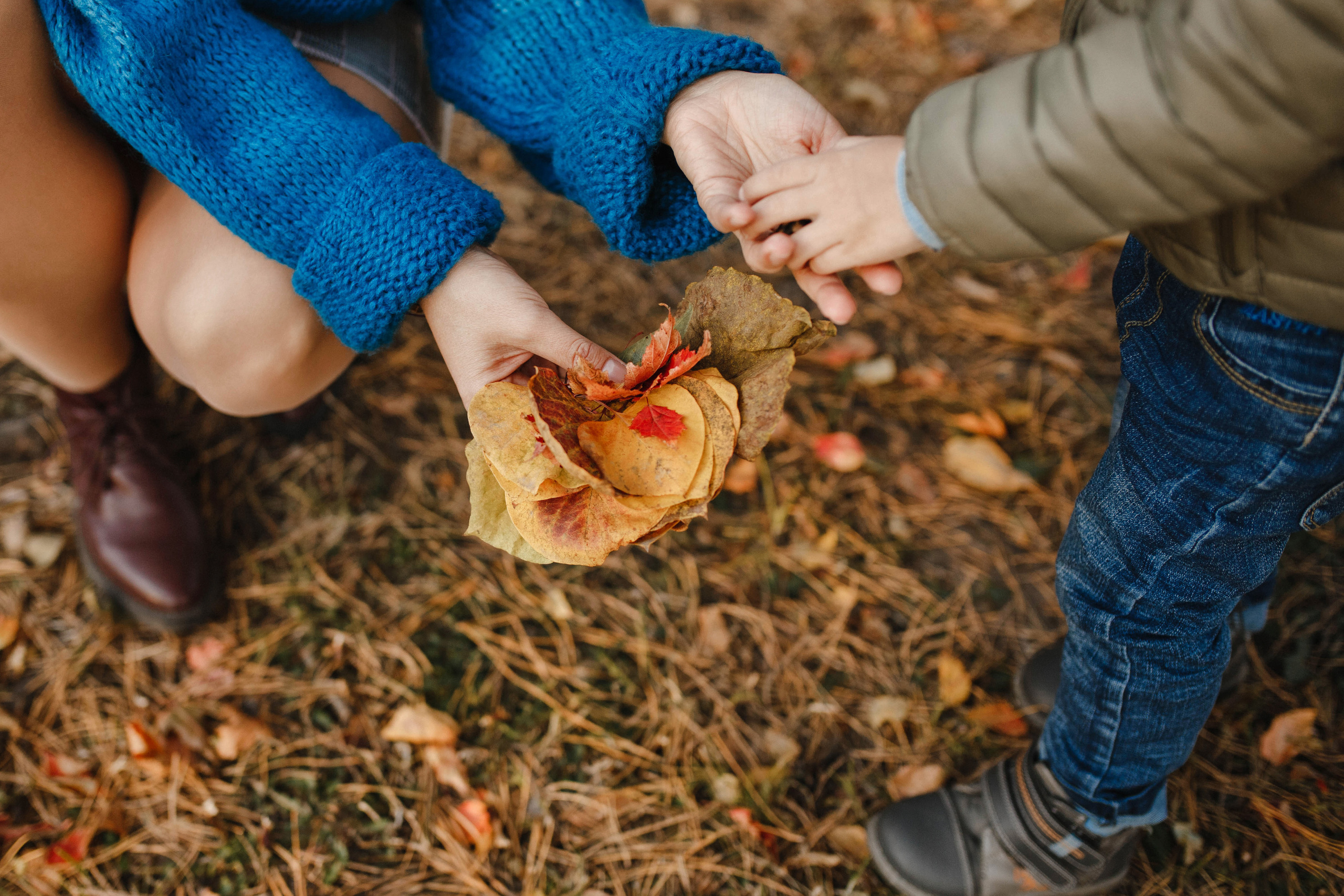 Вика&Толя (осенняя). Фотограф в Новосибирске Ася Зверева