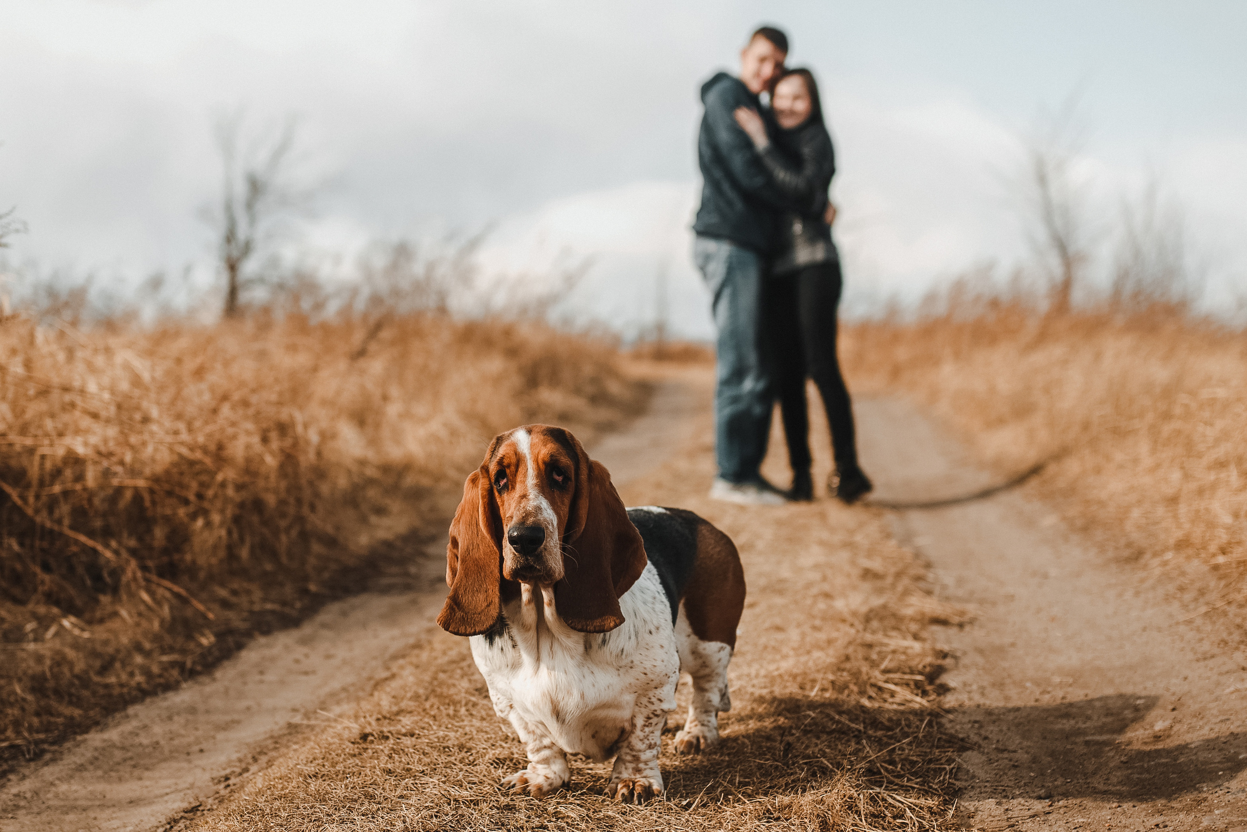 Юля&Витя. Фотограф в Новосибирске Ася Зверева