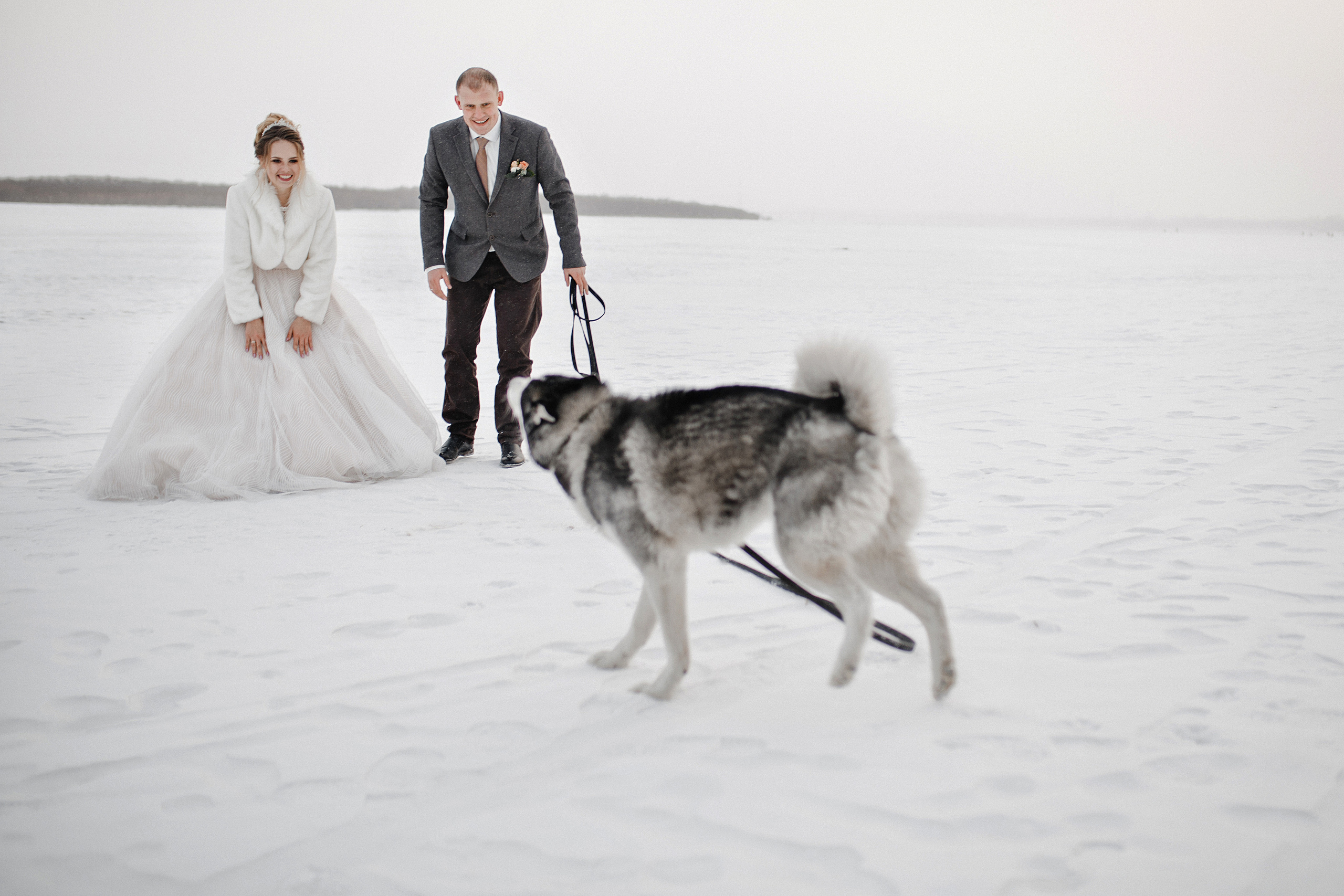 Алина&Андрей. Фотограф в Новосибирске Ася Зверева