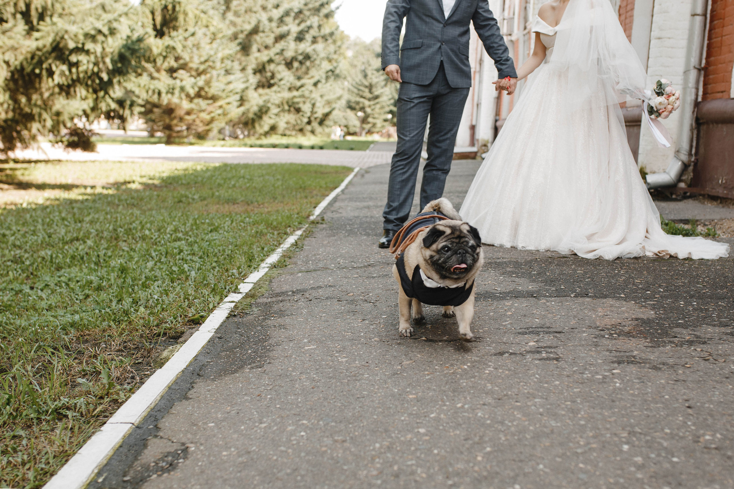 Аня&Ваня. Фотограф в Новосибирске Ася Зверева