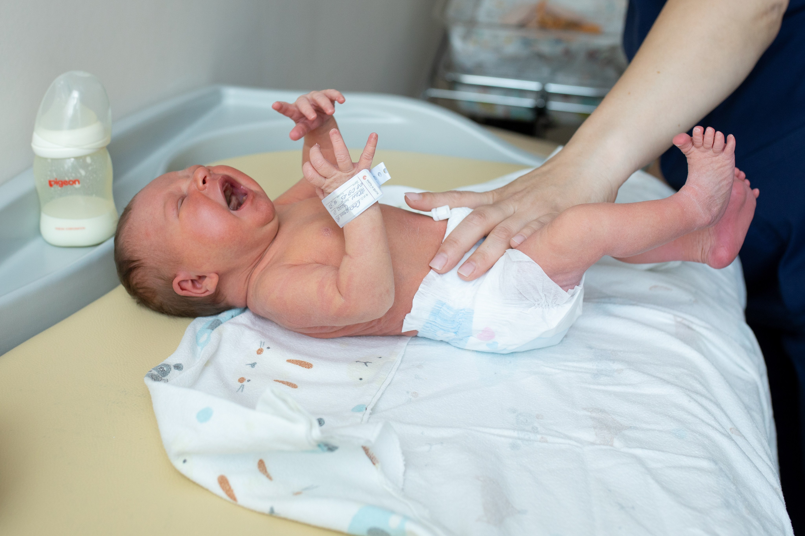 Авиценна. Фотограф в Новосибирске Ася Зверева