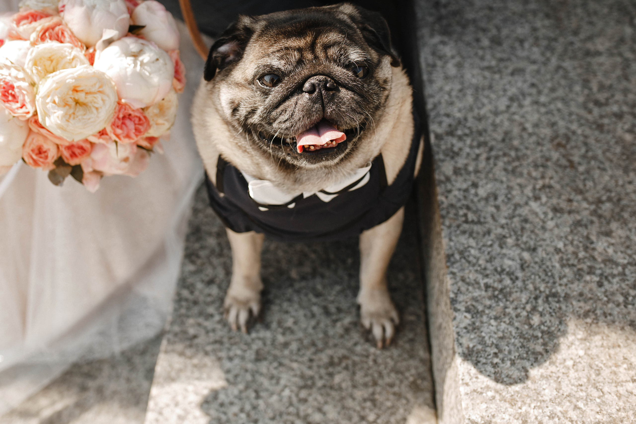 Аня&Ваня. Фотограф в Новосибирске Ася Зверева