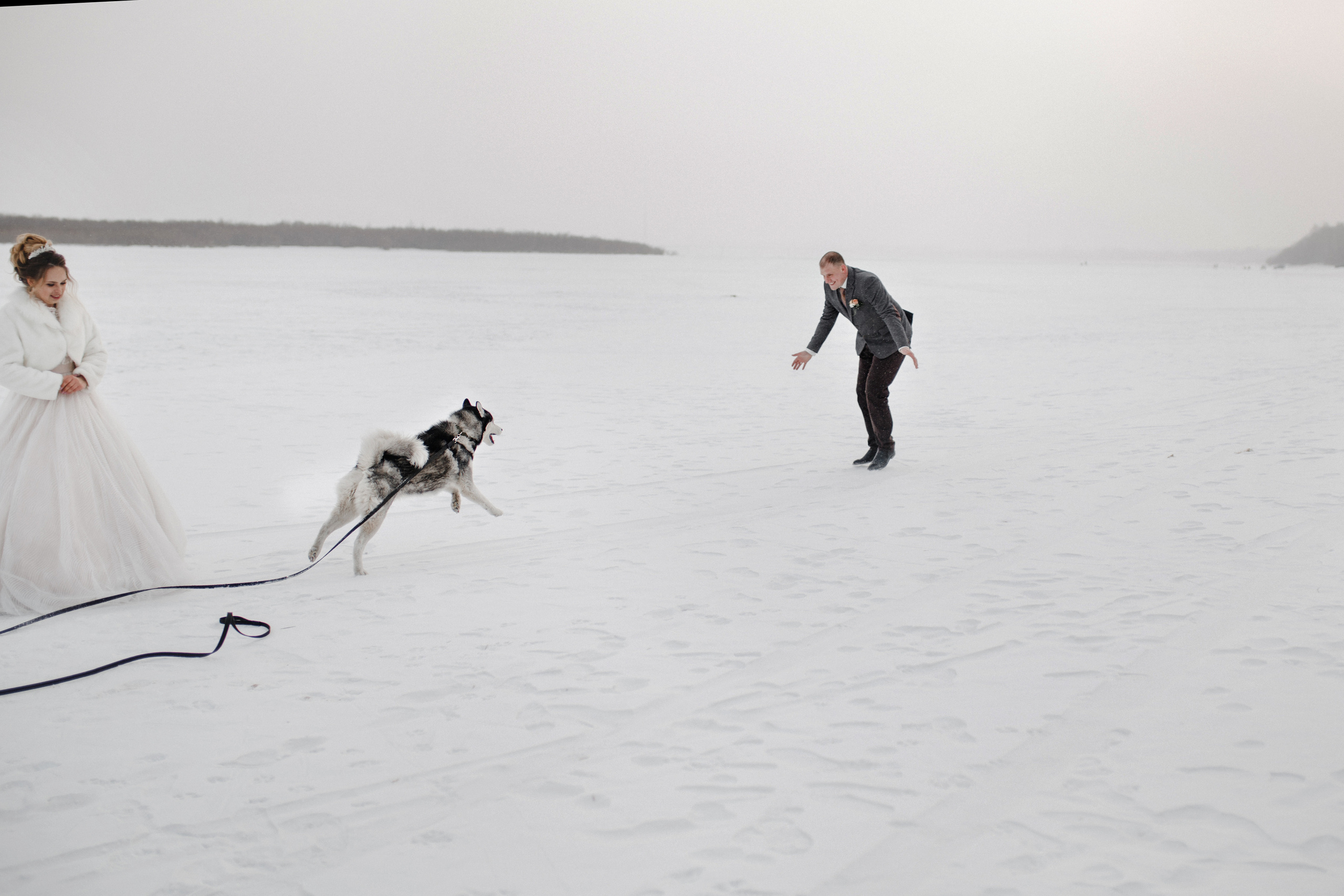 Алина&Андрей. Фотограф в Новосибирске Ася Зверева