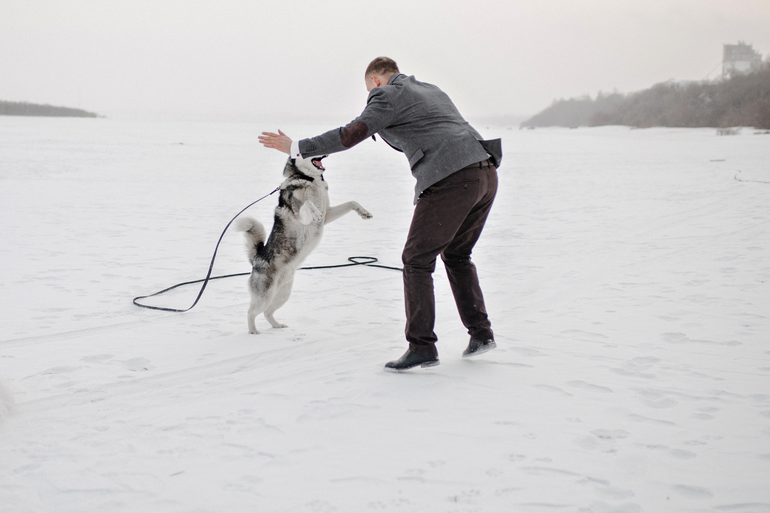 Алина&Андрей. Фотограф в Новосибирске Ася Зверева