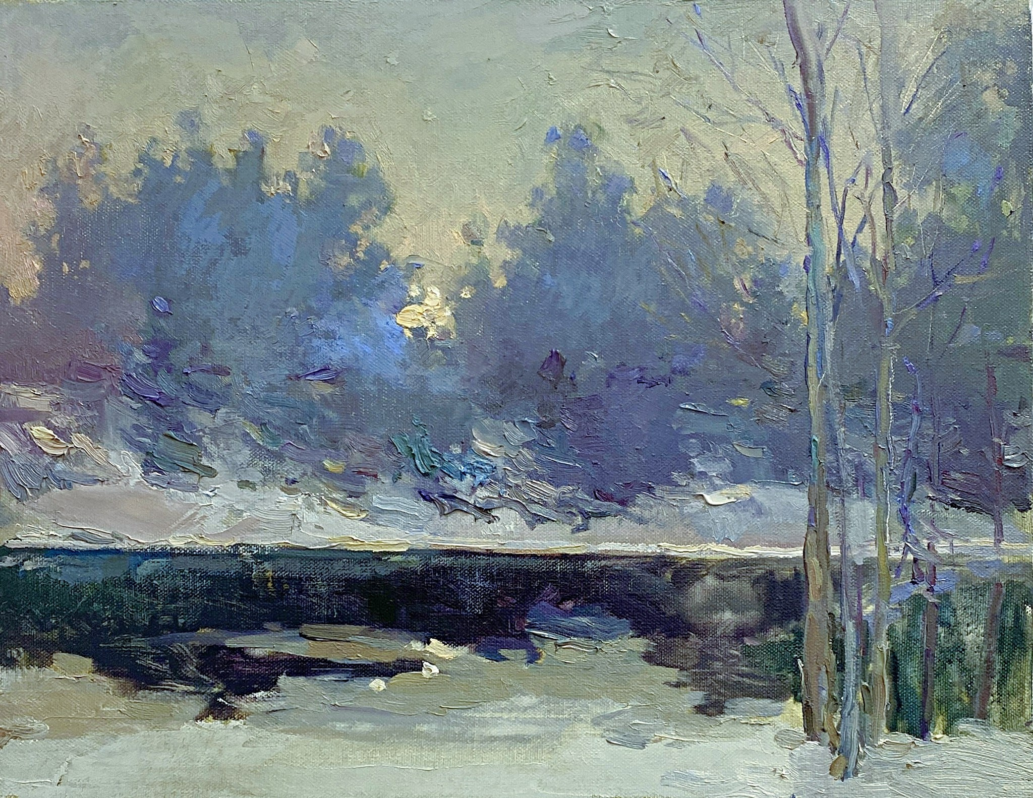 "Зимний вечер на Академической даче" 35Х45 см. Холст/масло, 2023 светлый, зима, природа, импрессионизм