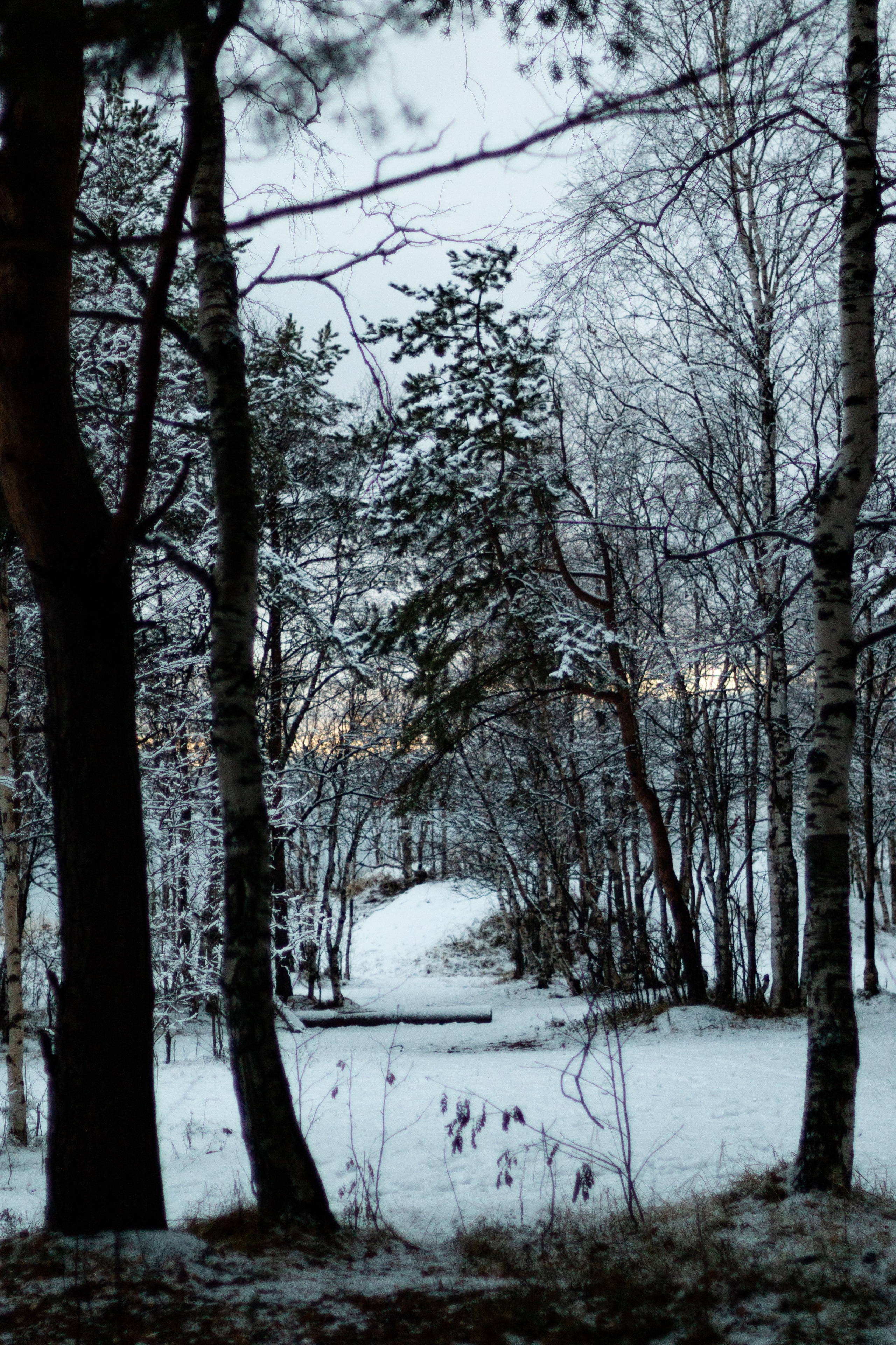 Русский север, Белое море, Архангельск. Фотограф в Сочи