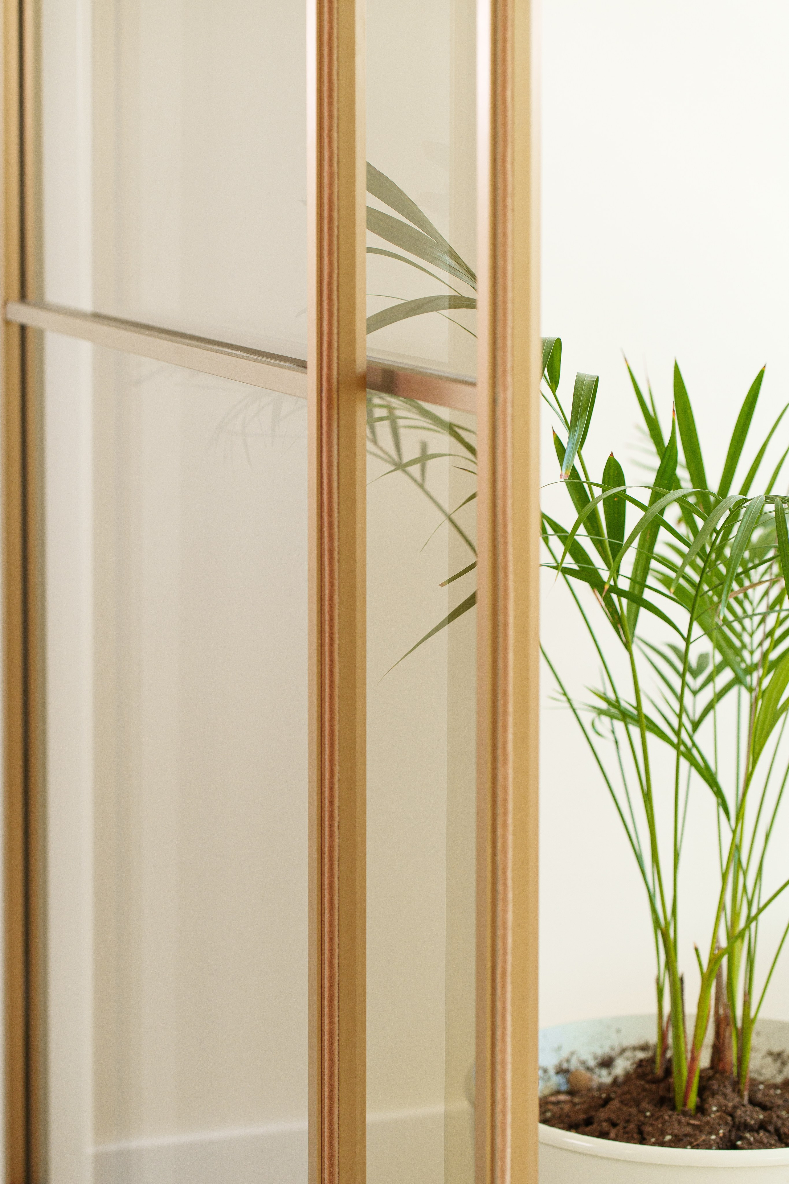 AriaHome. Фотограф и видеограф Тверь