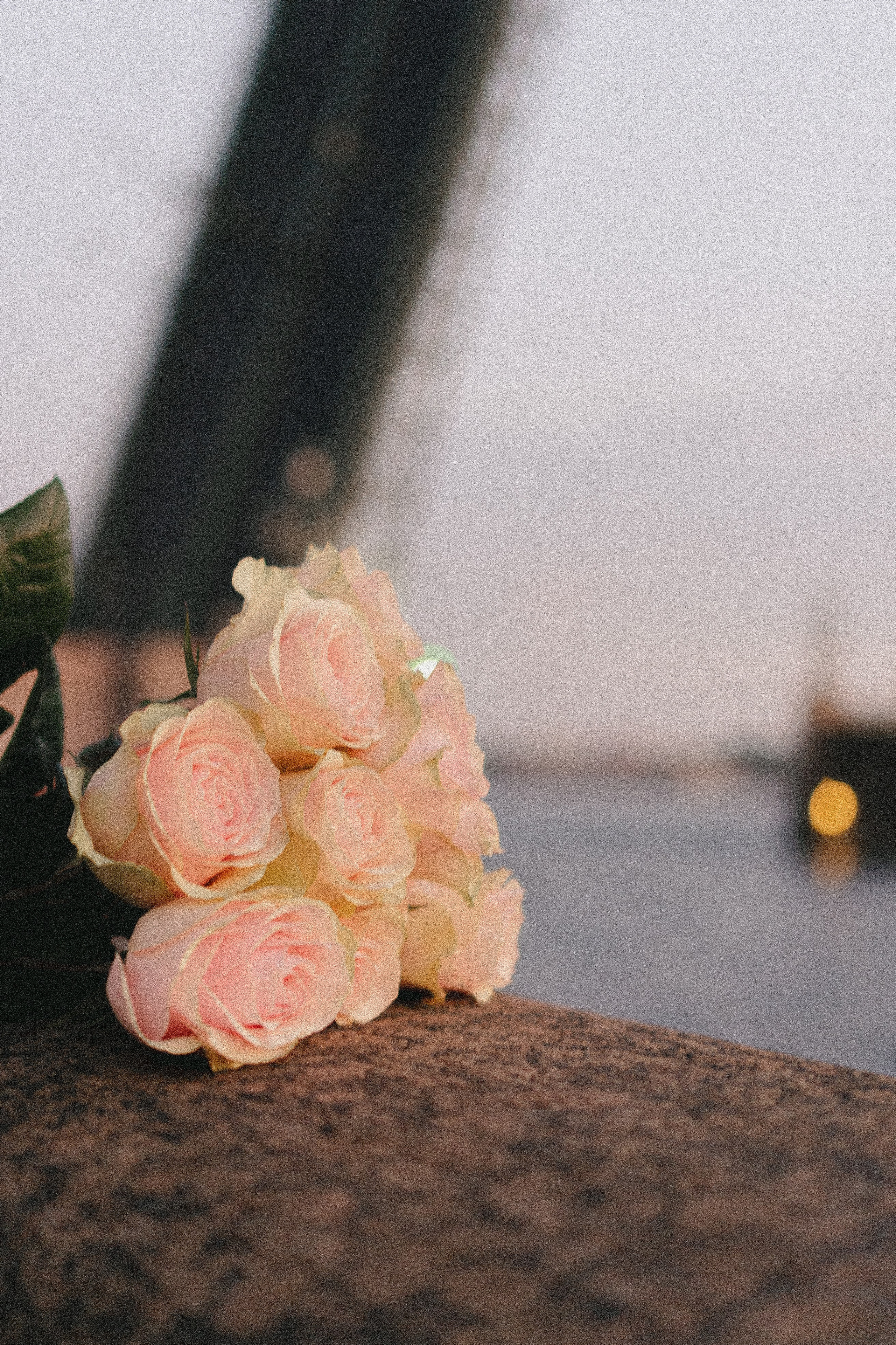 РАССВЕТНАЯ ИСТОРИЯ. Профессиональный фотограф, Санкт-Петербург — Виктория Богомолова