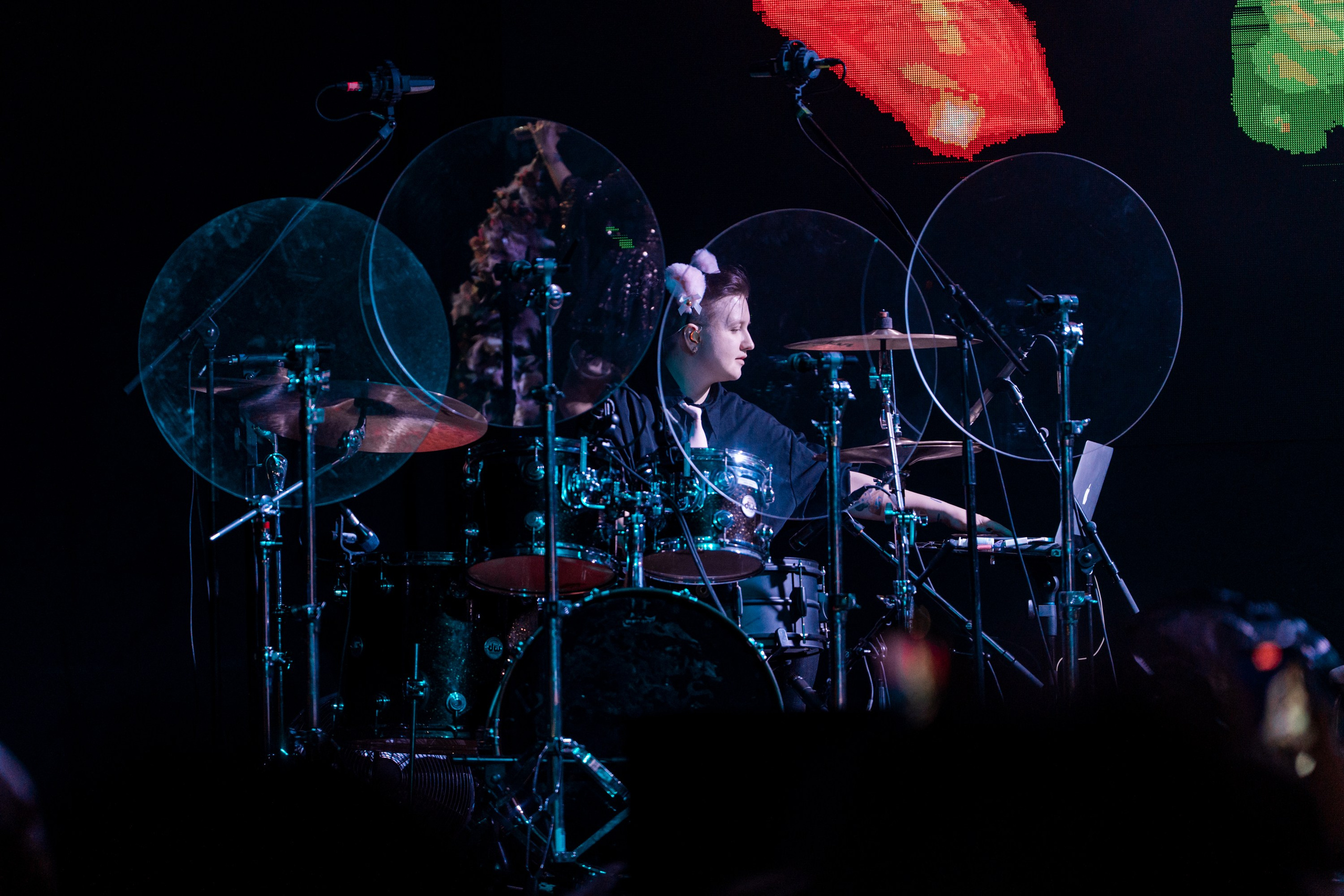 Алена Швец. Магия музыки в кадре: Концертная Фотография