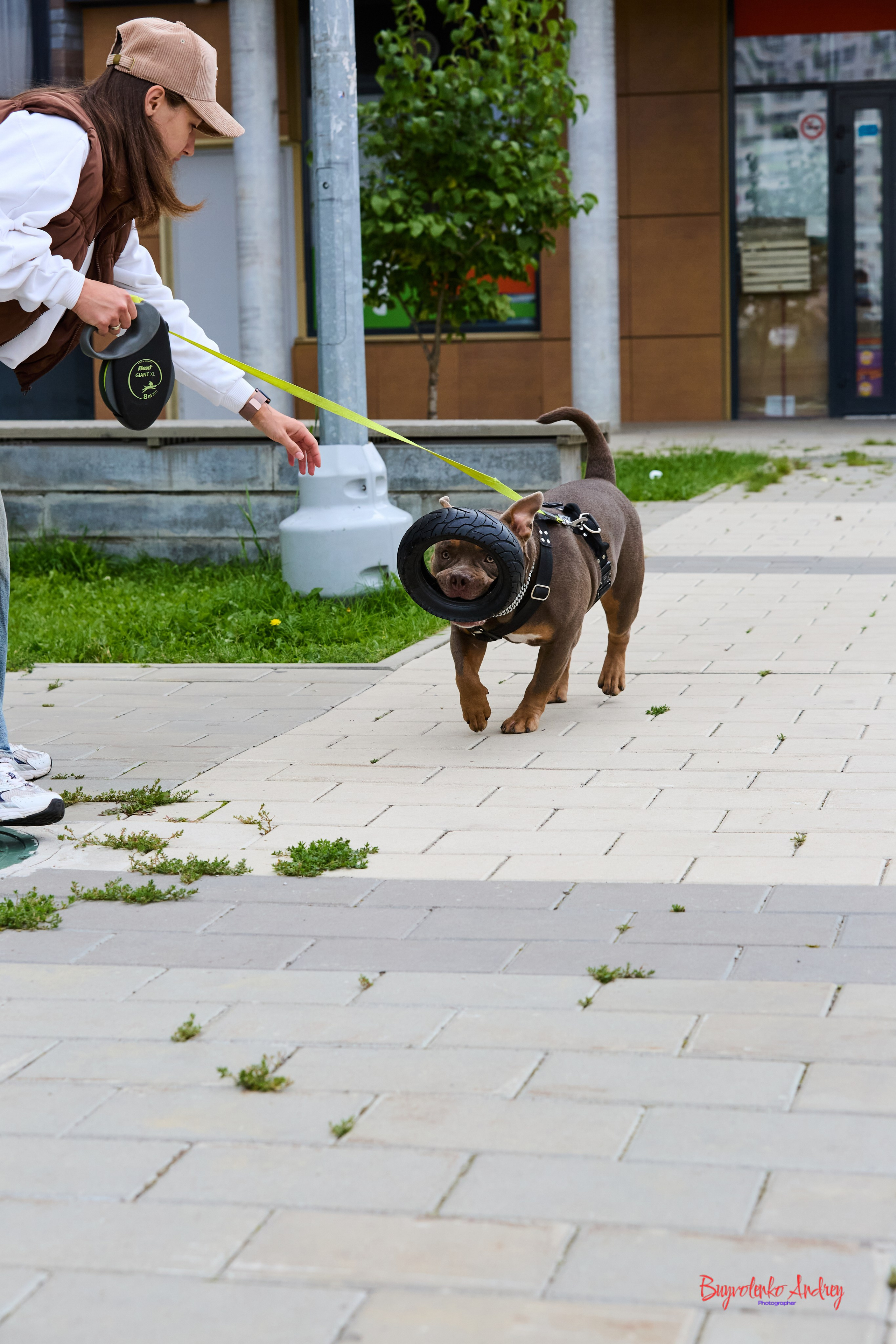 Проект фотопрогулка с хвостиком. Buyvolenko Andrey