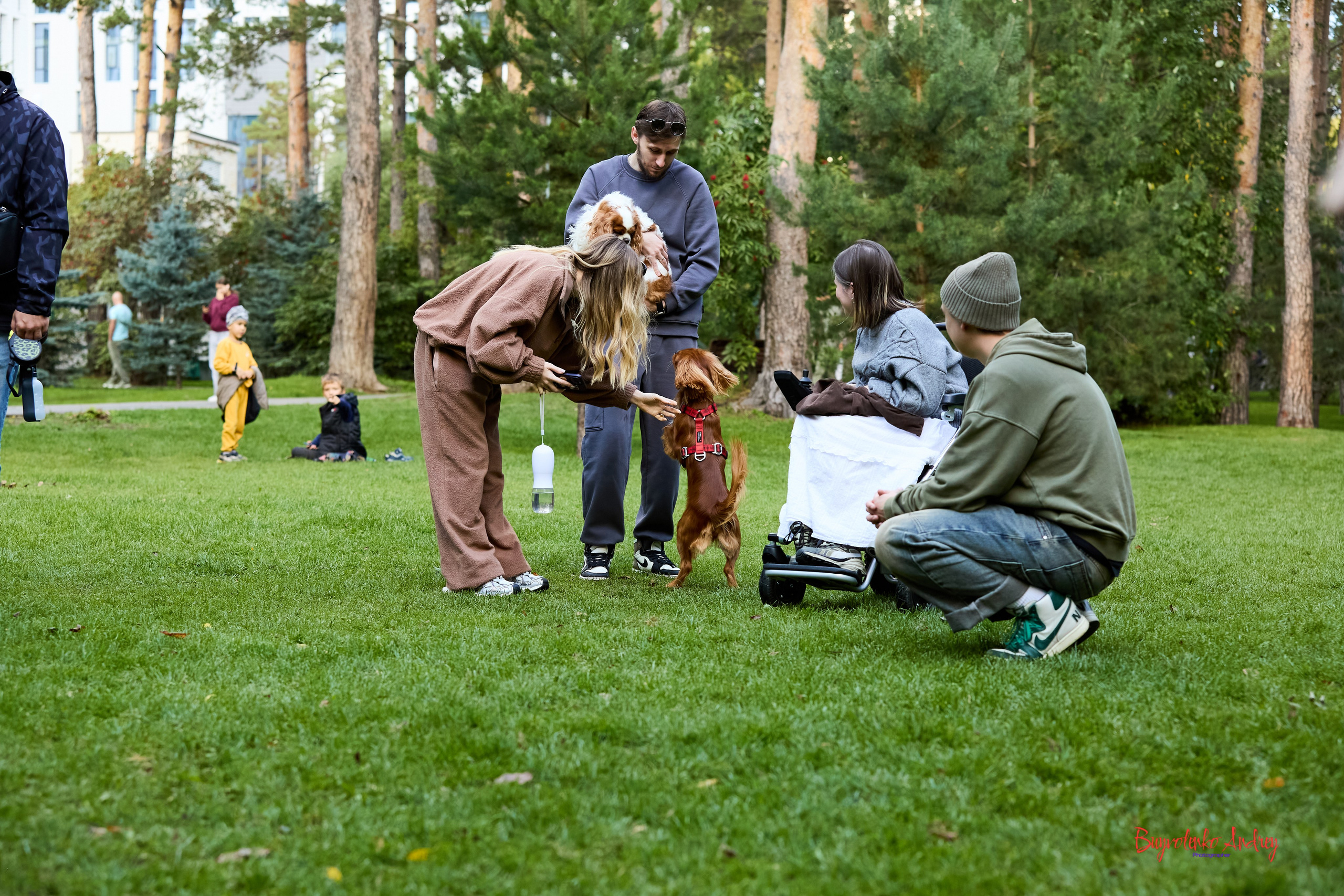 Фотопрогулка с кавалерами. Buyvolenko Andrey