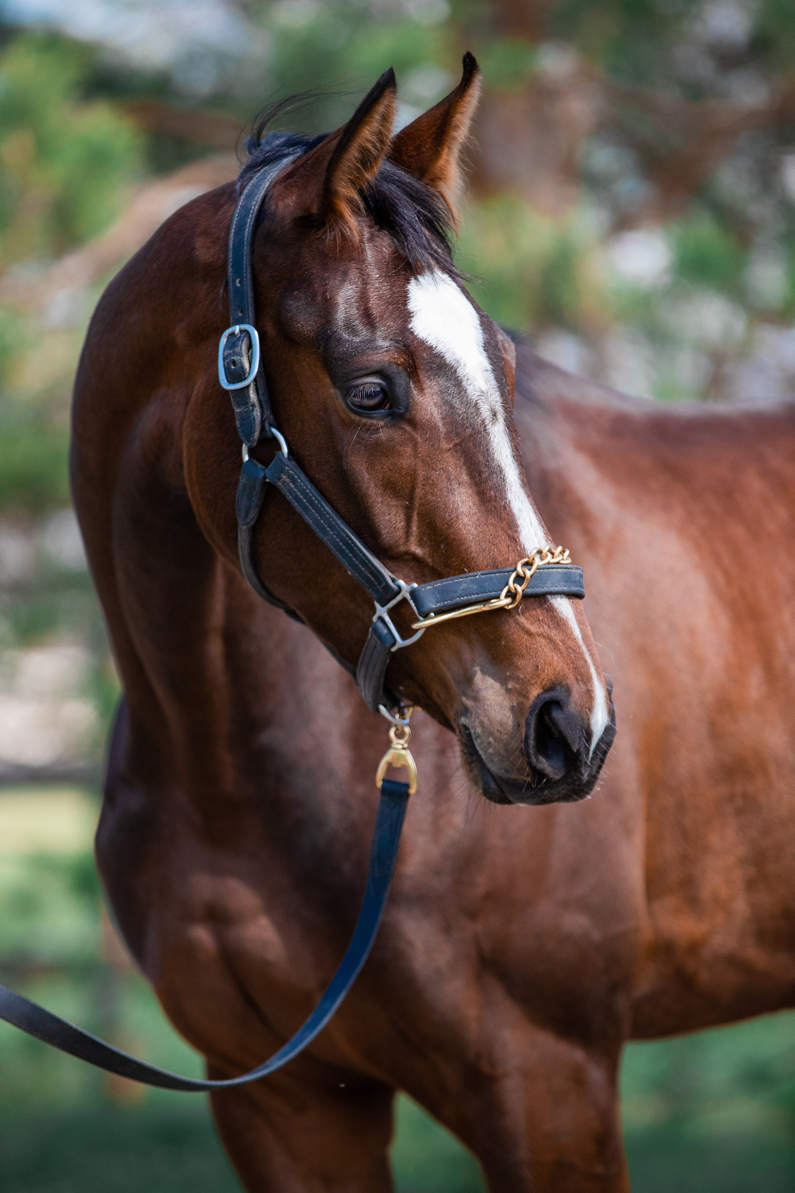 На природе. Фотограф-анималист Ксендзова Кристина