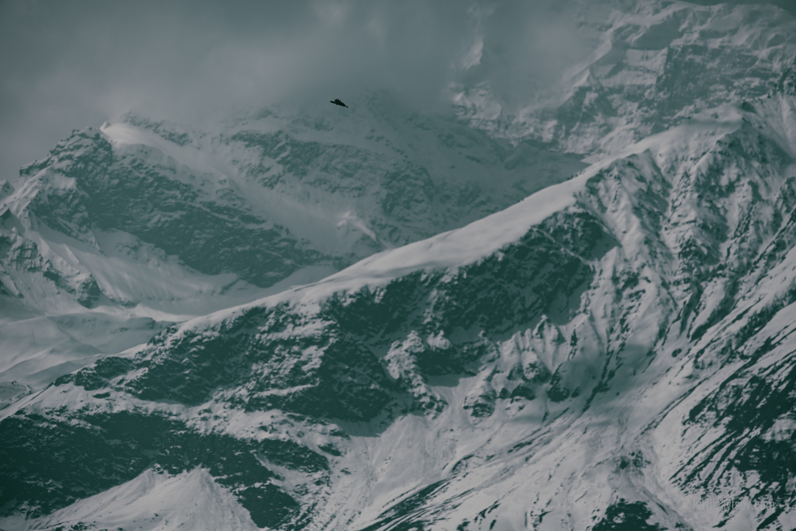 Жизнь. Профессиональный фотограф Кирилл Зайцев