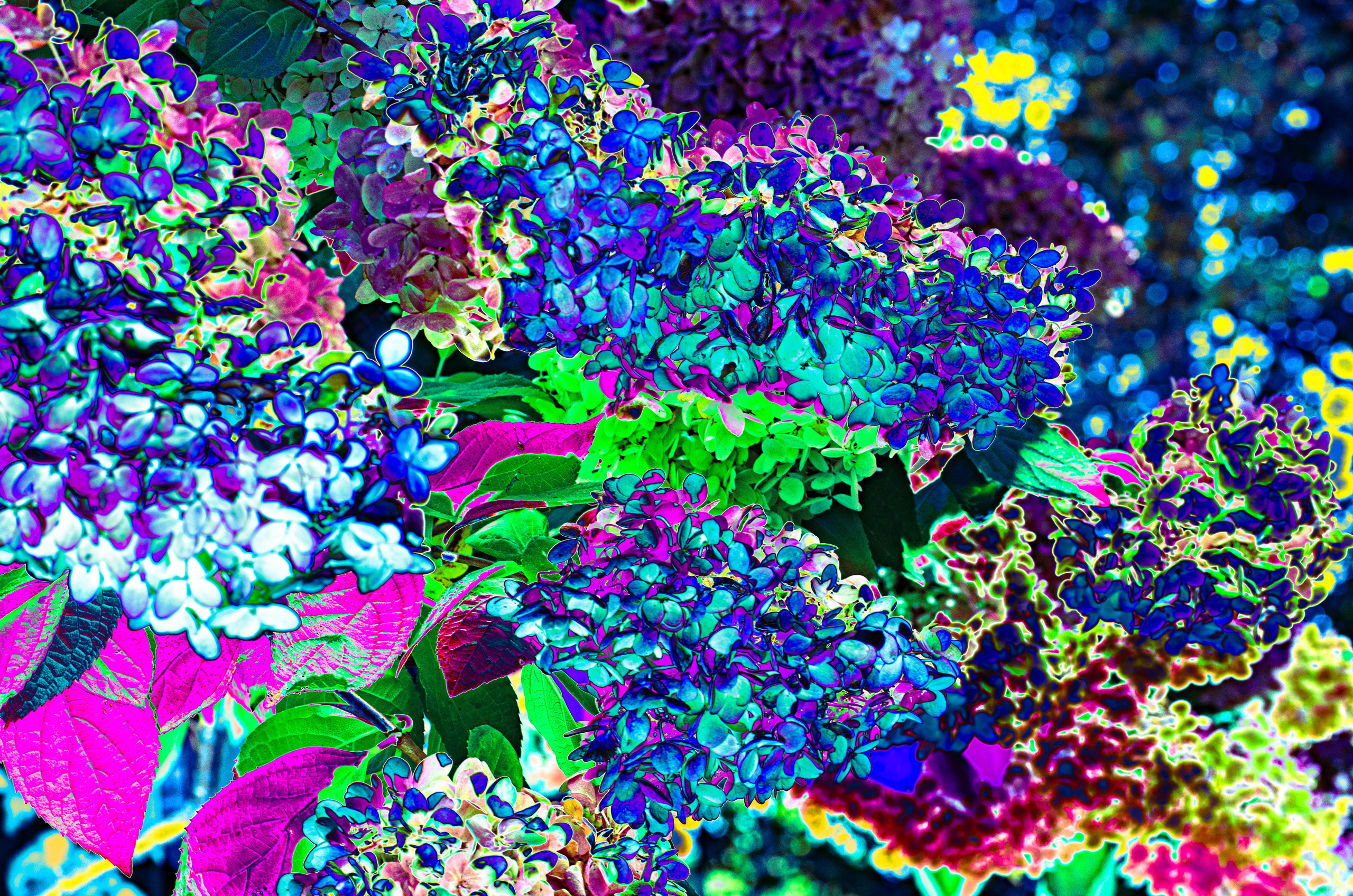 art, artist, photo, photography, photographer, contemporary art, talent, picture, pop art, gallery, фотограф, фотография, творчество, художник, рекламная съемка, творческая съемка, современное искусство, соврисск, совриск, современная фотография, творческая фотография, картины, попарт, поп арт, фото проекты, photo project, bag, сумка, cover song, обложка для музыкального альбома, обложка для книги, постер, картина