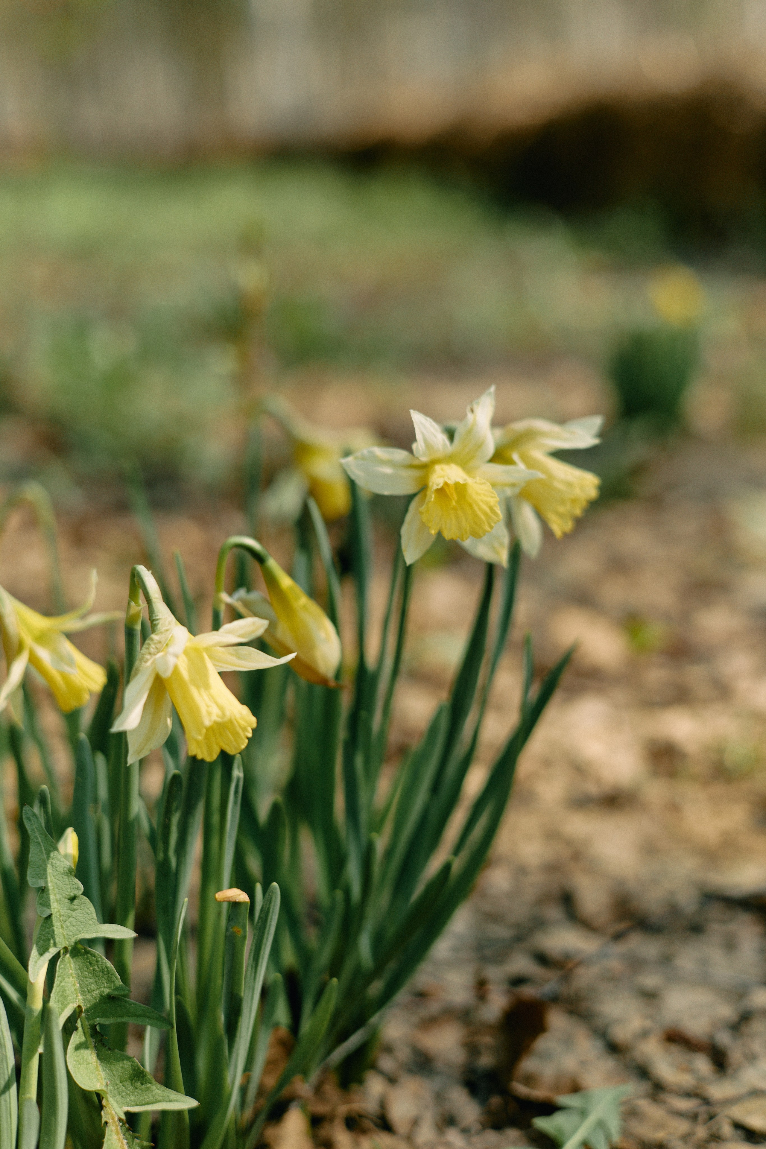 Бутик-отель Поле летом. Профессиональный Фотограф во Владимире, в Москве и в Суздале — Полина Романычева