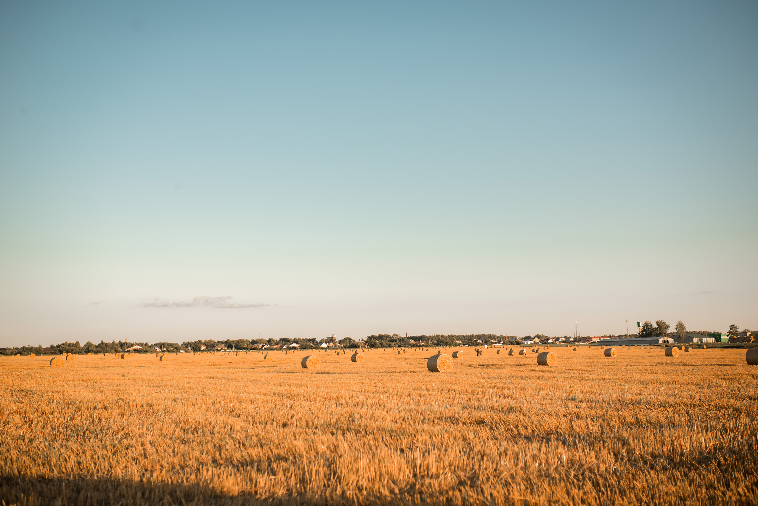 Фотосессия в поле с рулонами на закате. Детский и семейный фотограф в Йошкар-Оле Светлана Кропочева