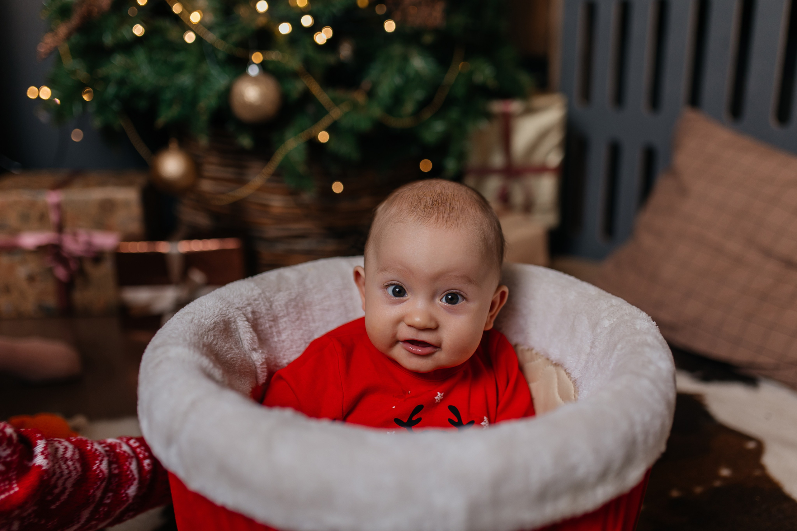 Семейная. Свадебный фотограф Красноярск — Кристина Ива