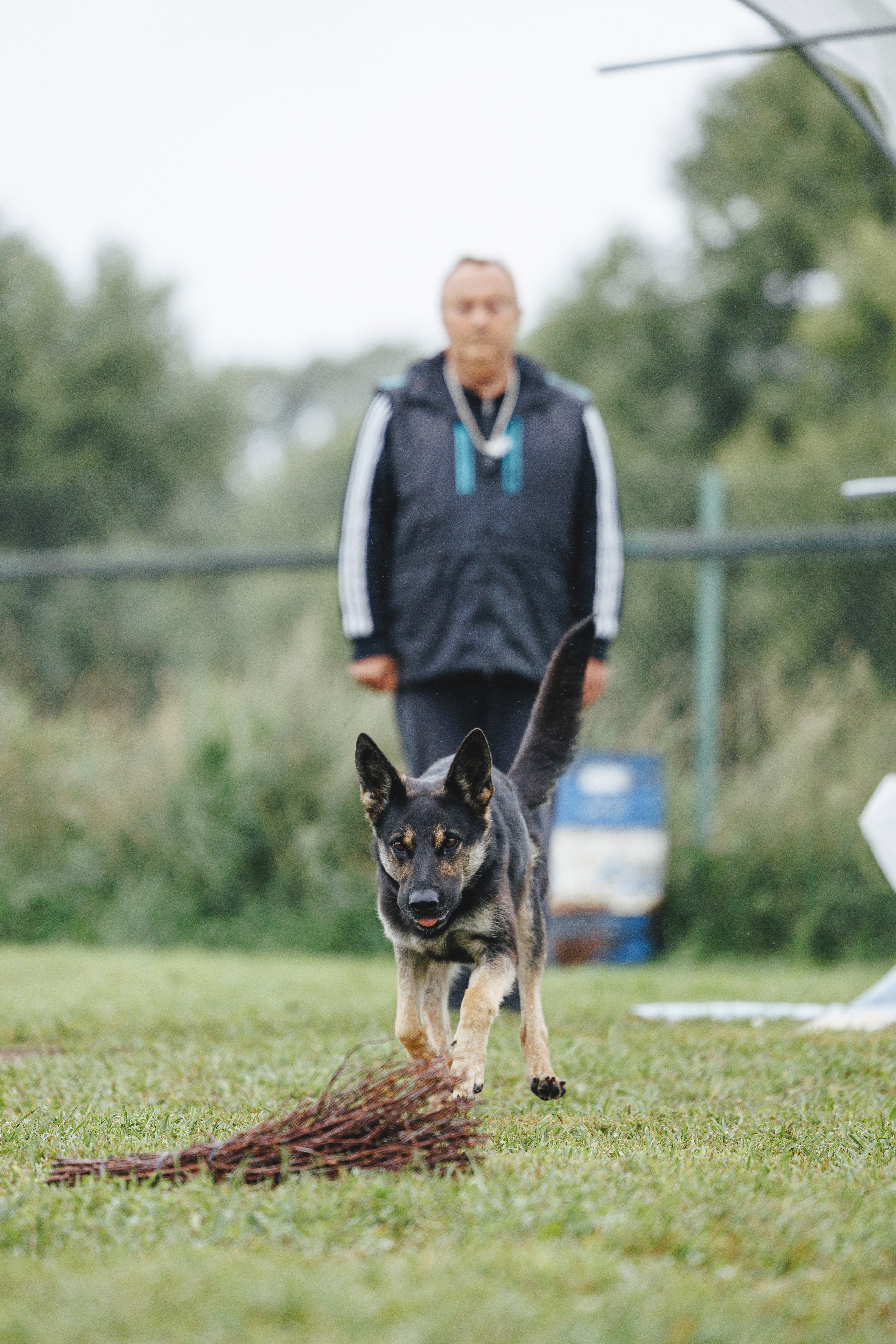 08.08.25-10.08.25 ЧР по мондьорингу г. Вологда. Фотограф-анималист Анна Маринич